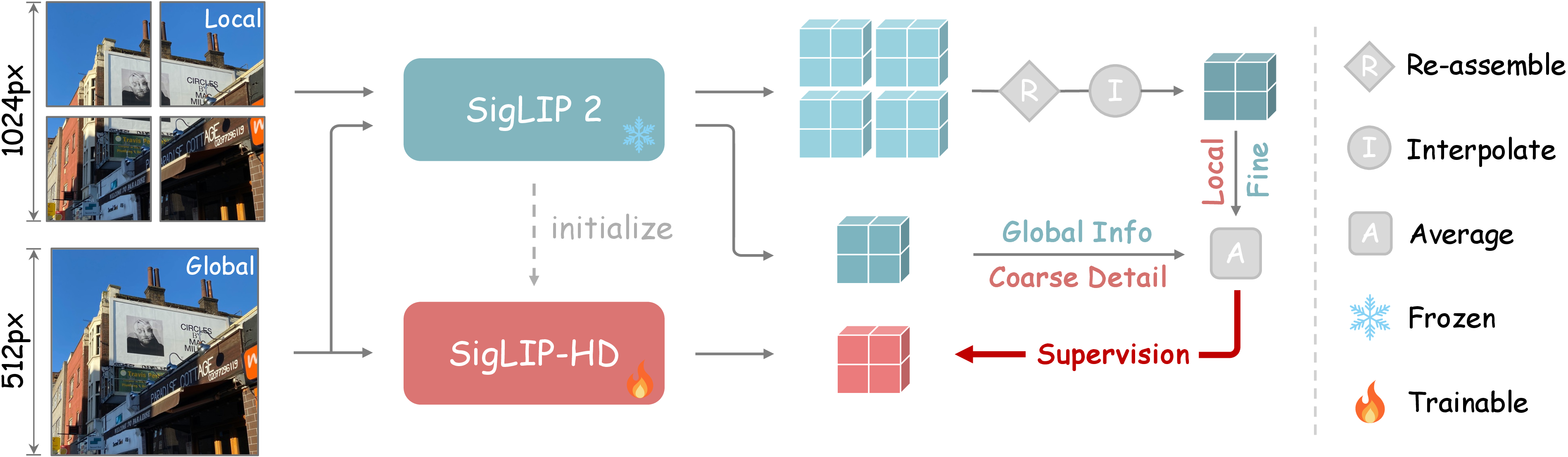 Figure 2: Overview of our fine-to-coarse supervision framework for training our SigLIP-HD. The frozen pre-trained SigLIP 2 encoder is inferred on multi-scale images to produce high-quality fine-grained features. Our SigLIP-HD is trained to mimic the features at a standard resolution (5122).