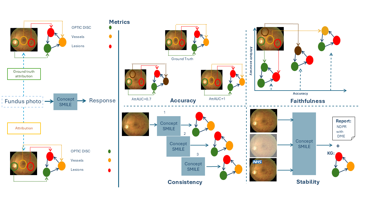 Figure 6: ConceptSMILE evaluation framework for auditing concept-level explanations through attribution accuracy, fidelity, faithfulness, stability, and consistency.