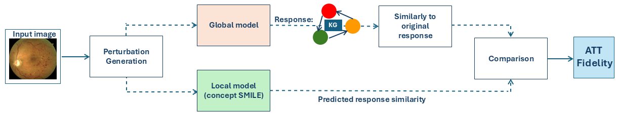 Figure 7: Fidelity evaluation pipeline. The observed concept-response shifts from the original pathway are compared with the surrogate-predicted shifts to assess local explanation fidelity.