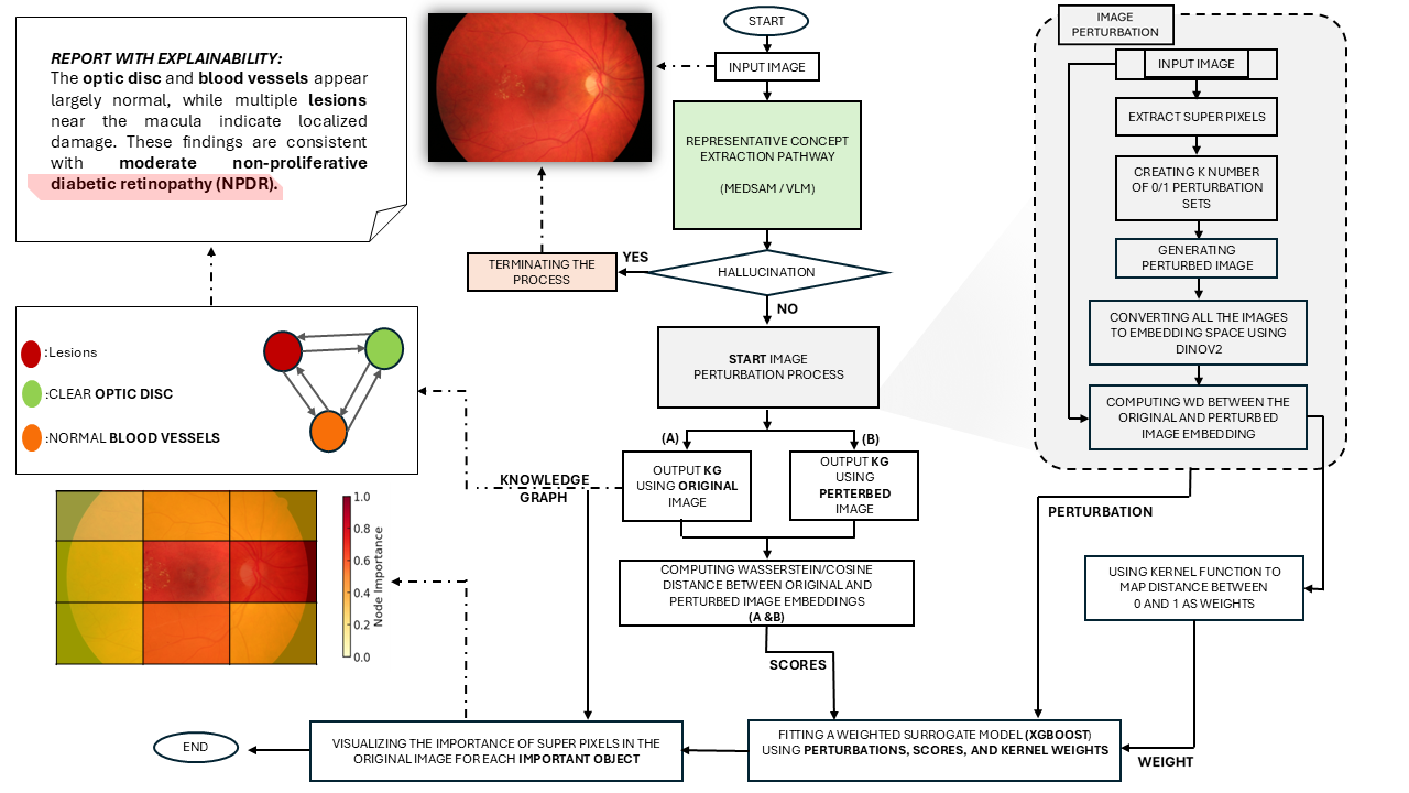 Figure 4: Overview of the ConceptSMILE framework. The pipeline extracts concept-level outputs, applies superpixel perturbations, computes locality weights, and fits a surrogate model for reliability auditing.