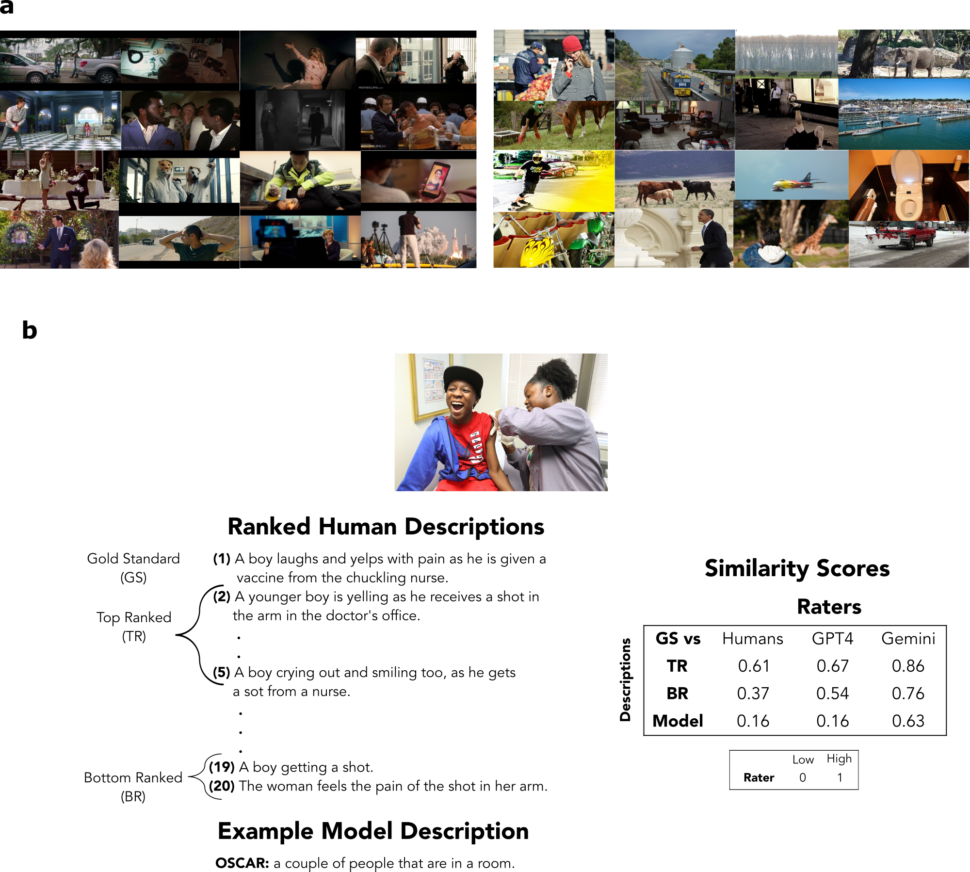 Figure 2: (a)Examples of images from the CSB (top left) and MS-COCO (top right) dataset. The CSB dataset includes images that showcase complex human behaviors and interactions. In contrast, the images from MS-COCO datasets have images with no people or people doing simple activities like walking, sitting, talking, etc. (b) 20 human descriptions are ranked based on how well they describe the image, and the top-ranked description is chosen as ground truth that is used for comparing the similarities of the models and other human descriptions. CSB images shown in this and subsequent figures were sampled from commercially released films and are shown under fair use for non-commercial academic research. Copyright remains with the respective rights holders.