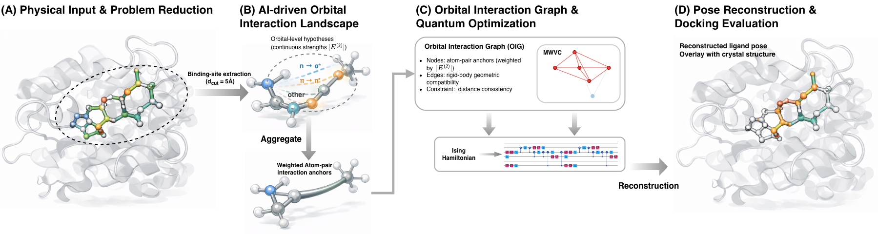 Figure 1: Overview of the hybrid AI–quantum molecular docking pipeline. (A) Starting from a protein–ligand co-crystal structure, the binding site is extracted using a distance-based cutoff to reduce the system size while preserving key interaction context. (B) An AI model predicts orbital-level donor–acceptor interaction hypotheses across the binding site, yielding continuous interaction strengths. These orbital interactions are aggregated into weighted atom-pair interaction anchors. (C) The resulting anchors define an Orbital Interaction Graph (OIG), where nodes represent weighted atom-pair interactions and edges enforce rigid-body geometric compatibility. Docking is formulated as a maximum-weight vertex clique problem and solved using digitized-counterdiabatic QAOA. (D) The selected anchor set is used to reconstruct the ligand pose via rigid-body alignment, and docking accuracy is evaluated by comparison with the experimental crystal structure.