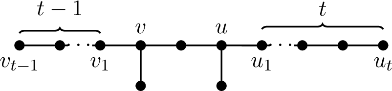 Figure 4: The tree H_n of order n=2t+4 with t\geq 3.