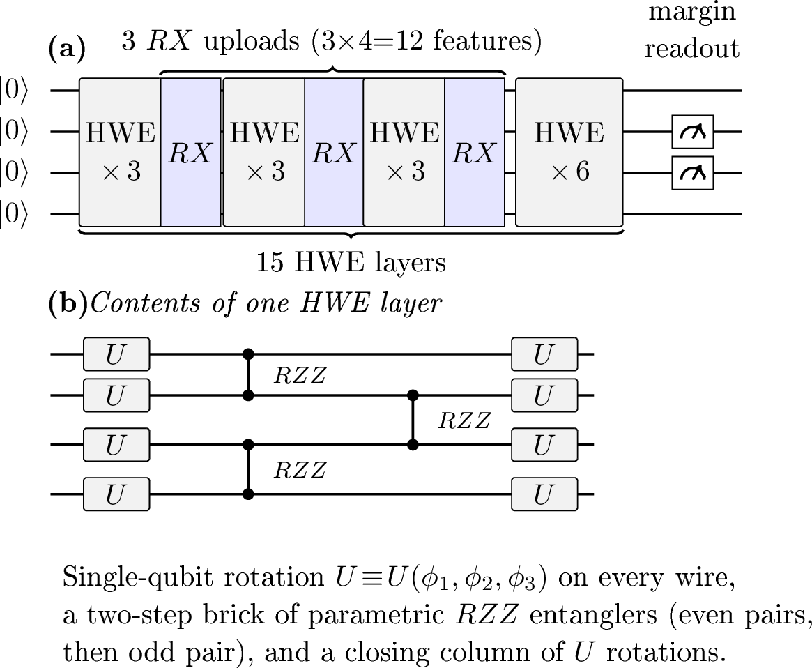 Figure 7: Hardware ansatz.(a) Hardware deployment on ibm_boston (7): a 4-qubit hardware-efficient ansatz (HWE) encoding d\!=\!12 features on q\!=\!4 qubits. Three RX(x) feature-upload blocks (four features each, one per qubit) are interleaved with HWE entangling layers: three layers before the first upload, three after each upload, and three more closing the circuit, for 15 HWE layers in total. Only the two middle qubits are measured: the binary label is the margin \langle Z_{q_1}\rangle-\langle Z_{q_2}\rangle between them, while the outer qubits are entangled but left unread. The reduced depth keeps the transpiled circuit within the device coherence budget.(b) Contents of one HWE layer: a column of trainable single-qubit rotations U\!\equiv\!U(\phi_1,\phi_2,\phi_3), a two-step brick of parametric RZZ entanglers (even pairs, then odd pair), and a closing column of U rotations. Each layer carries an independent set of trainable angles.