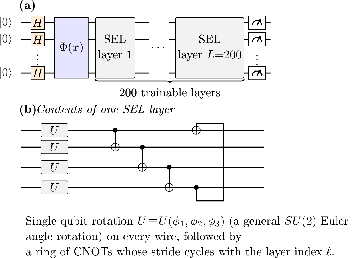 Figure 6: Simulation ansatz.(a) The simulation pipeline (6): Hadamards on each of q\!\in\!\{4,\dots,10\} wires, a phase-dense encoding \Phi(x) of the d-dimensional input (d up to 784), 200 strongly-entangling layers (SEL), and single-qubit Pauli-Z readouts.(b) Contents of one SEL layer: a column of trainable single-qubit rotations U\!\equiv\!U(\phi_1,\phi_2,\phi_3) followed by a ring of CNOTs whose stride cycles with \ell. Each layer carries an independent set of trainable angles.