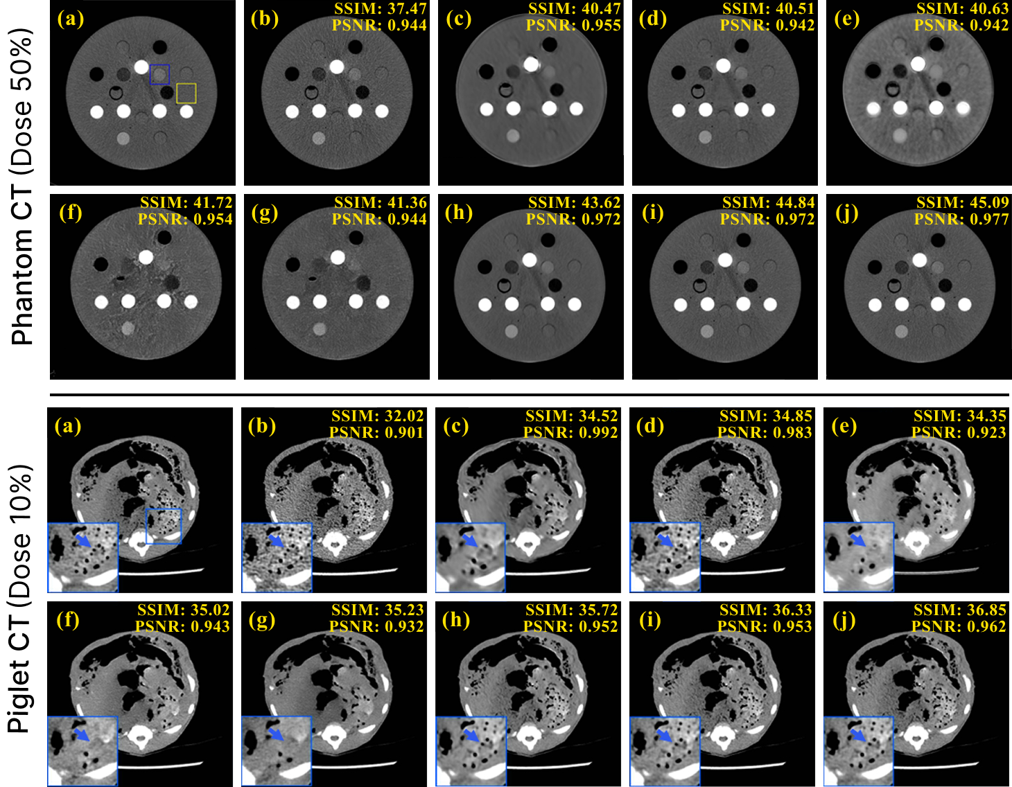 Figure 7: Qualitative results on out-of-distribution datasets. Representative reconstructions from the physical phantom (50% dose) and Piglet CT (10% dose) are shown for competing methods and the proposed GenDiff. Zoomed-in regions highlight noise suppression, artifact reduction, and preservation of structural boundaries under domain shift.