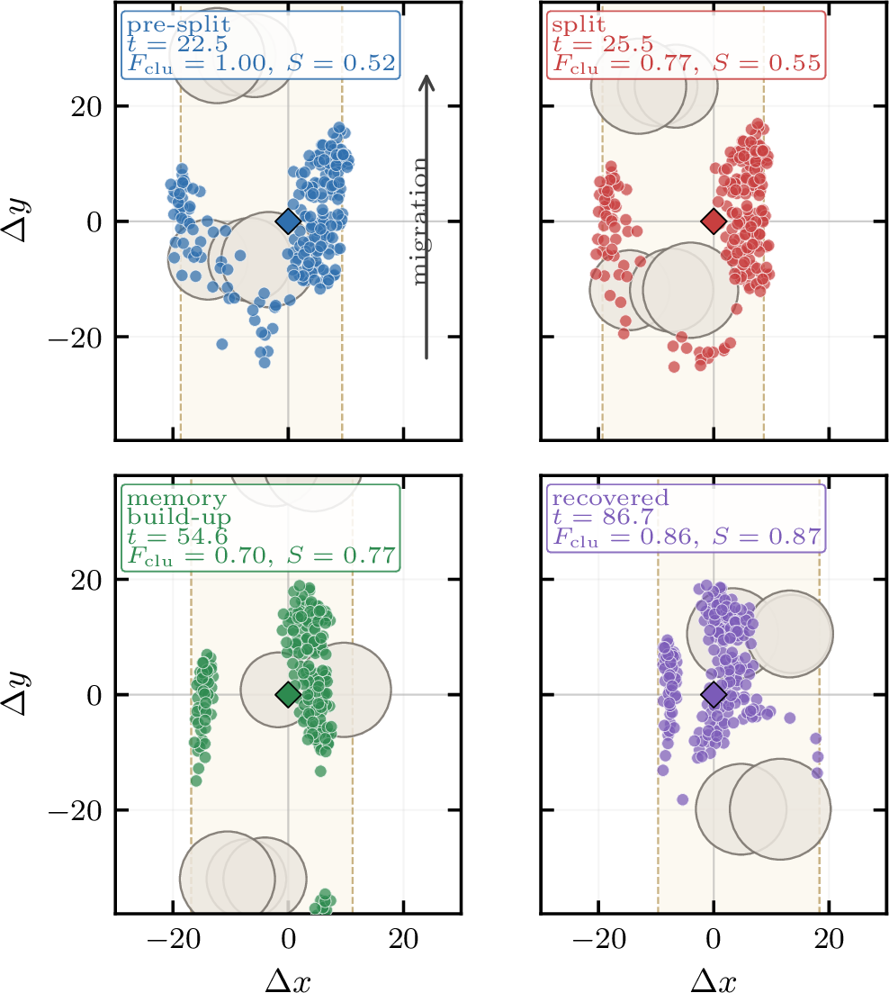 Figure 3: Migration snapshots for the recovered event. Obstacle rows split the flock, after which local alignment, cohesion, corridor-centering, and closed-loop perceptual regulation gradually restore the largest connected component.
