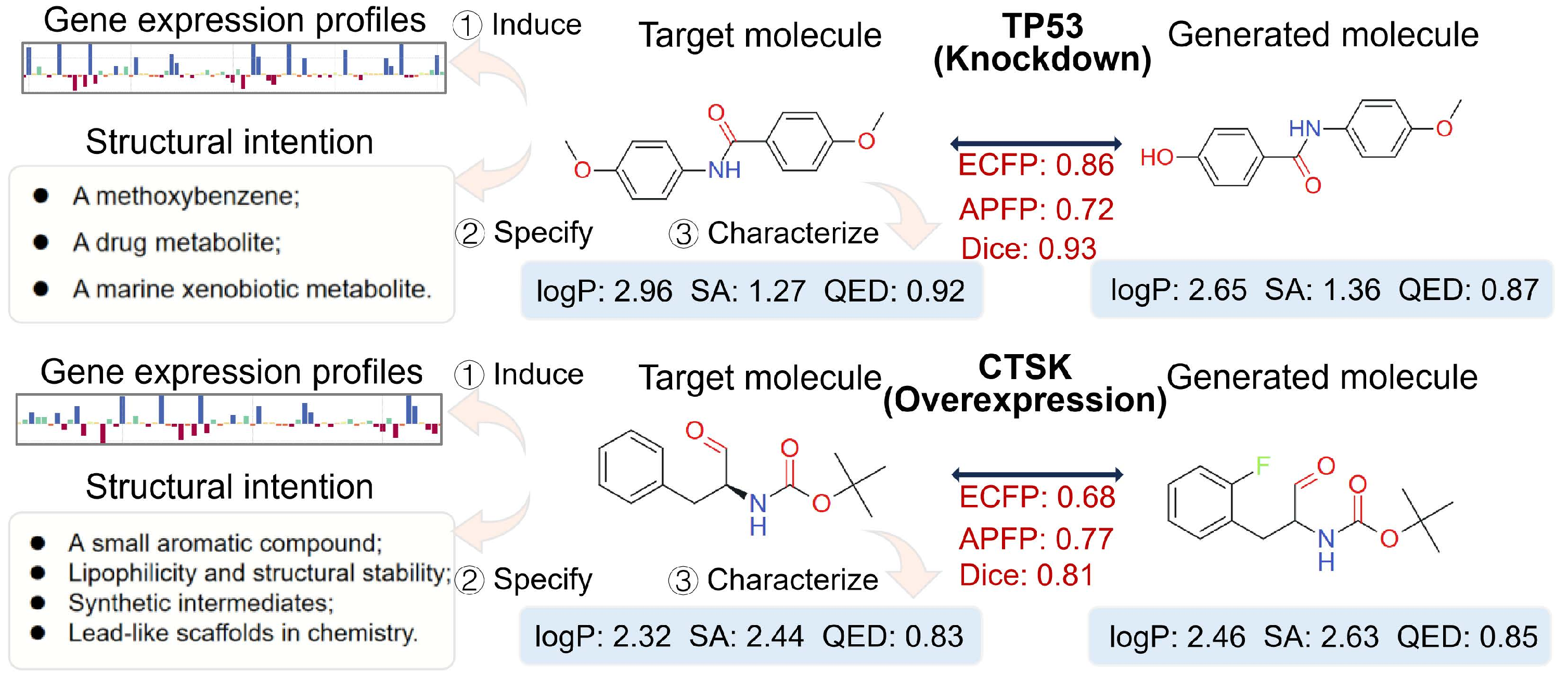 Figure 2: Representative examples of multi-condition controlled molecular design under gene expression profiles, structural design intentions, and numerical property values for TP53 and CTSK.