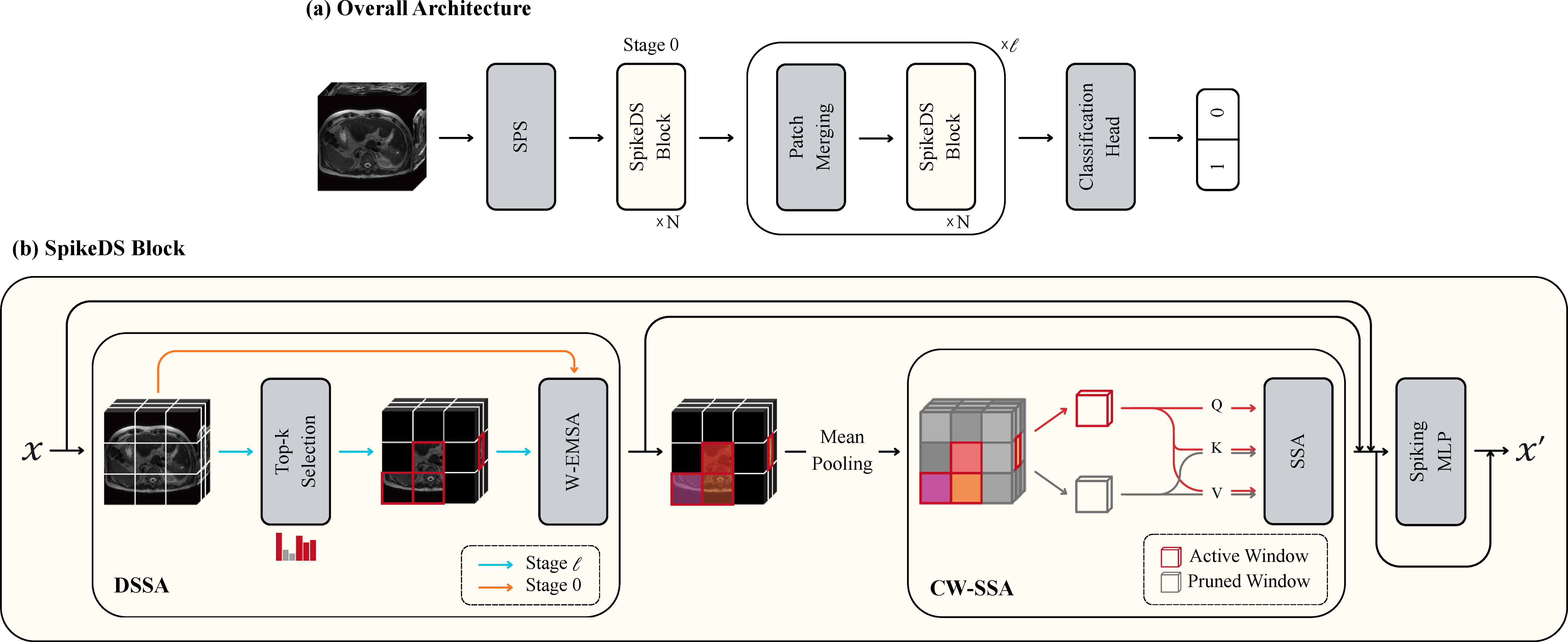Figure 1: (a) Overall architecture of SpikeDS. A 3D MRI volume is converted into spike tokens through SPS, then progressively encoded by l stages of SpikeDS Blocks with 3D patch merging layers that double the channel dimensions , and finally classified via global average pooling and a linear classification head. (b) SpikeDS Block applies Dual Sparsity Spiking Attention (DSSA), which performs W-EMSA only on salient windows selected by firing-rate-guided pruning, followed by asymmetric Cross-Window Spiking Self-Attention (CW-SSA) for global context exchange, and a Spiking MLP. Window pruning is disabled in Stage 0 and activated with keep ratio \rho in Stages l.