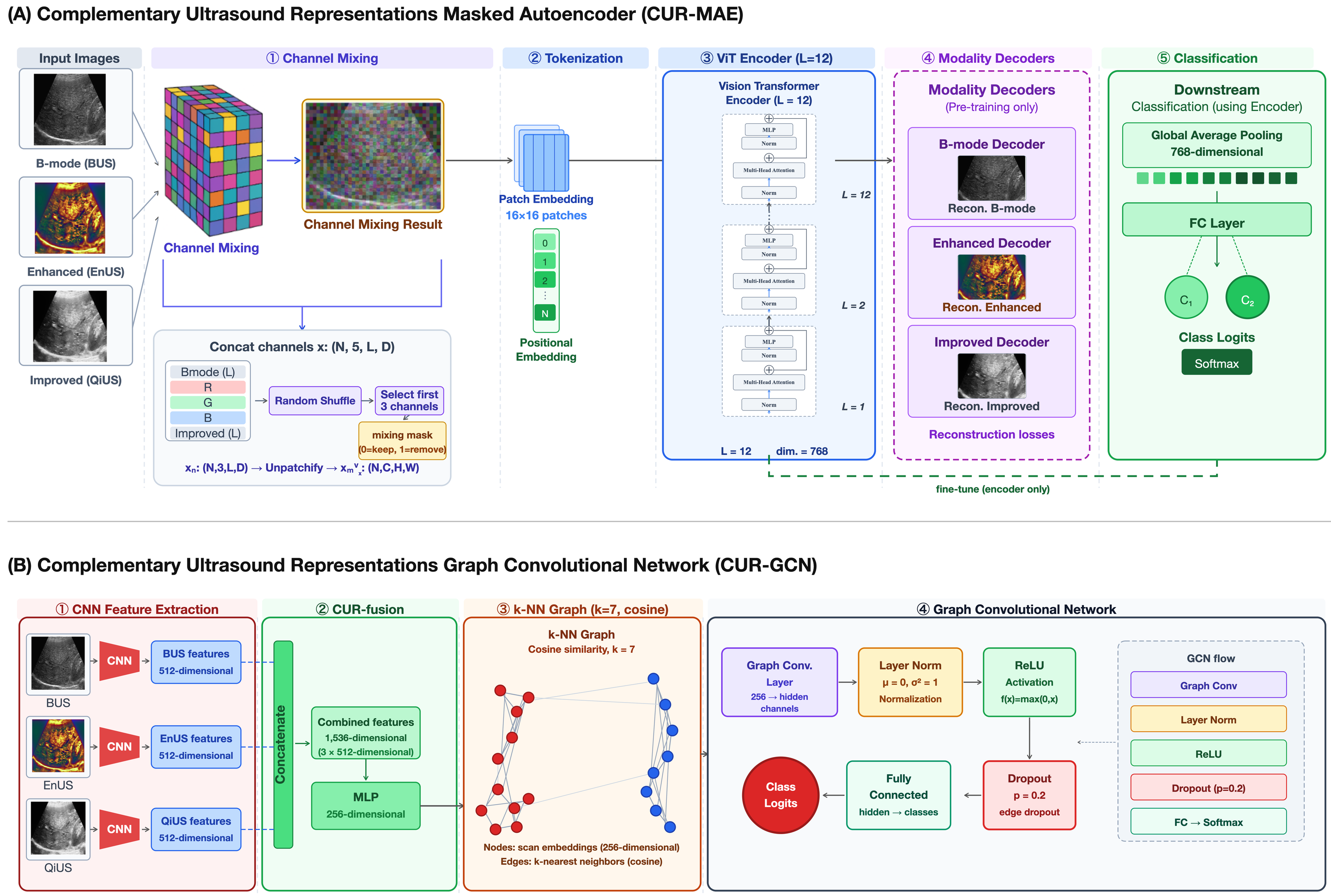 Figure 2: Overview of the proposed learning frameworks for NASH versus NAFLD classification using CUR. (A) CUR-MAE employs self-supervised masked autoencoding to learn joint representations from BUS, EnUS, and QiUS images. (B) CUR-GCN extracts and fuses features from BUS, EnUS, and QiUS images and utilizes graph convolutional learning to model relationships among examinations for classification.