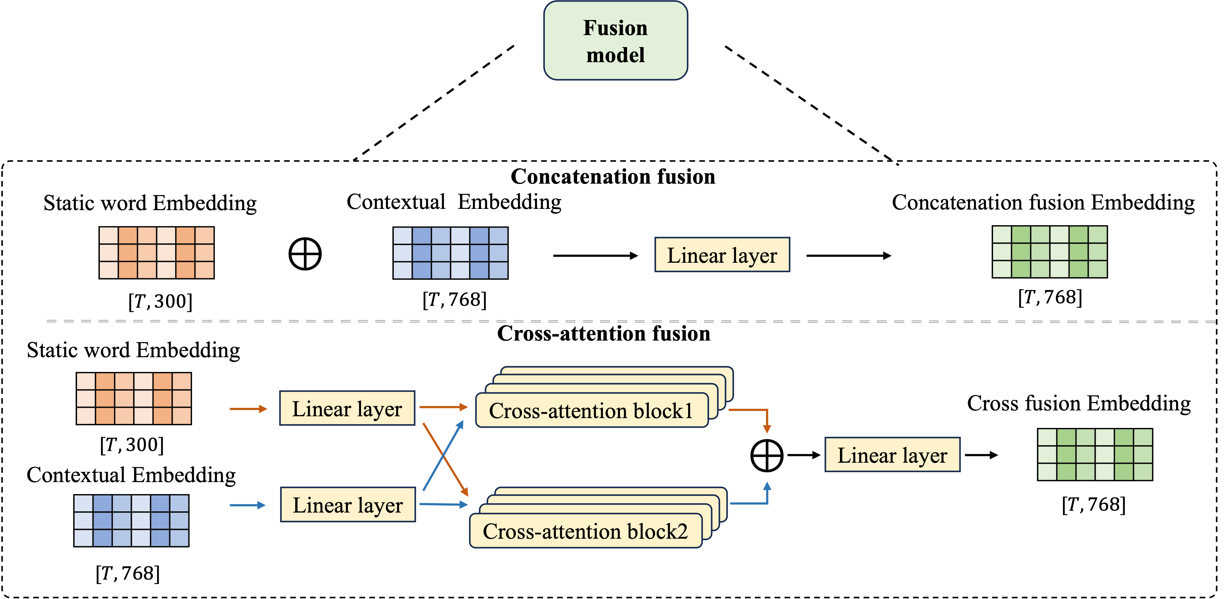 Figure 2: The architectural topology of the proposed feature fusion methods. The upper block details the Concatenation Fusion baseline, where static vectors ([T,300]) and dynamic embeddings ([T,768]) are directly channel-concatenated and linearly projected.The lower block illustrates the Cross-Attention Fusion framework, where individual linear layers first project both streams before routing them into reciprocal cross-attention blocks.