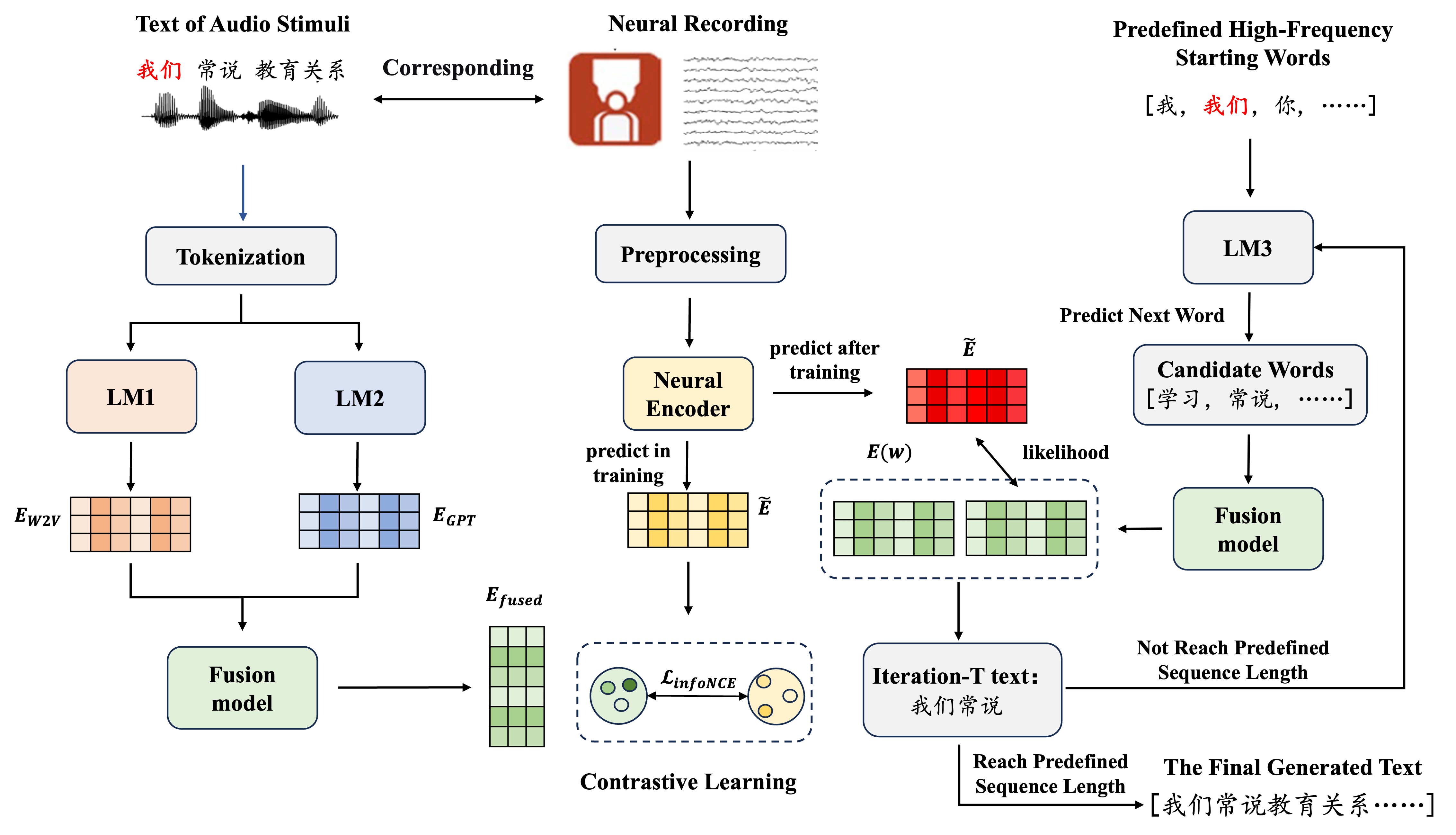 Figure 1: Global architecture of the proposed interactive Multi-feature fusion framework for non-invasive semantic reconstruction. The method is structured as a two-stage framework: Stage 1: Semantic Feature Reconstruction and Contrastive Learning. Text of audio stimuli are processed via tokenization to feed LM1(Word2vec) that captures stable lexical attributes and LM2(GPT-Neo) that tracks dynamic sequence context. These representations are integrated by the Fusion model to get fused semantic features E_{\text{fused}}. Concurrently, neural recordings are mapped via a Neural Encoder into predicted fusion embedding. A batch-wide pairwise similarity matrix is constructed, governed by an InfoNCE loss function to maximize diagonal matches while minimizing off-diagonal distractors. Stage 2: Text Generation. Conditioned on the historical prefix and the fusion embeddings predicted from Stage 1, pre-trained LM3(mengzi-GPT-Neo) expands path hypotheses to generate candidate words. Each candidate word is sequentially transformed into its fusion embedding via Fusion model. The framework decides the next word by computing likehood between these candidate fusion embeddings and the predicted fusion embedding to output fluent, natural language text.