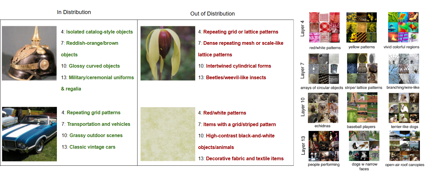 Figure 5: (Left) Two ID and two OOD examples, with one of the top‑3 SAE‑derived concept labels for each layer based on activation strength. Concept labels that agree with the ground truth class are colored green; concepts that do not are colored red. ID samples predominantly align with correct concepts, whereas OOD samples trigger mismatched concepts. (Right) For each layer, examples of frequently activated concepts over the ID dataset, labeled by a VLM. Each label is generated by retrieving the 9 images with the highest activation for that concept, presenting them to the VLM, and using its description as the concept label. Later layers tend to yield more abstract, high‑level concepts than earlier ones.