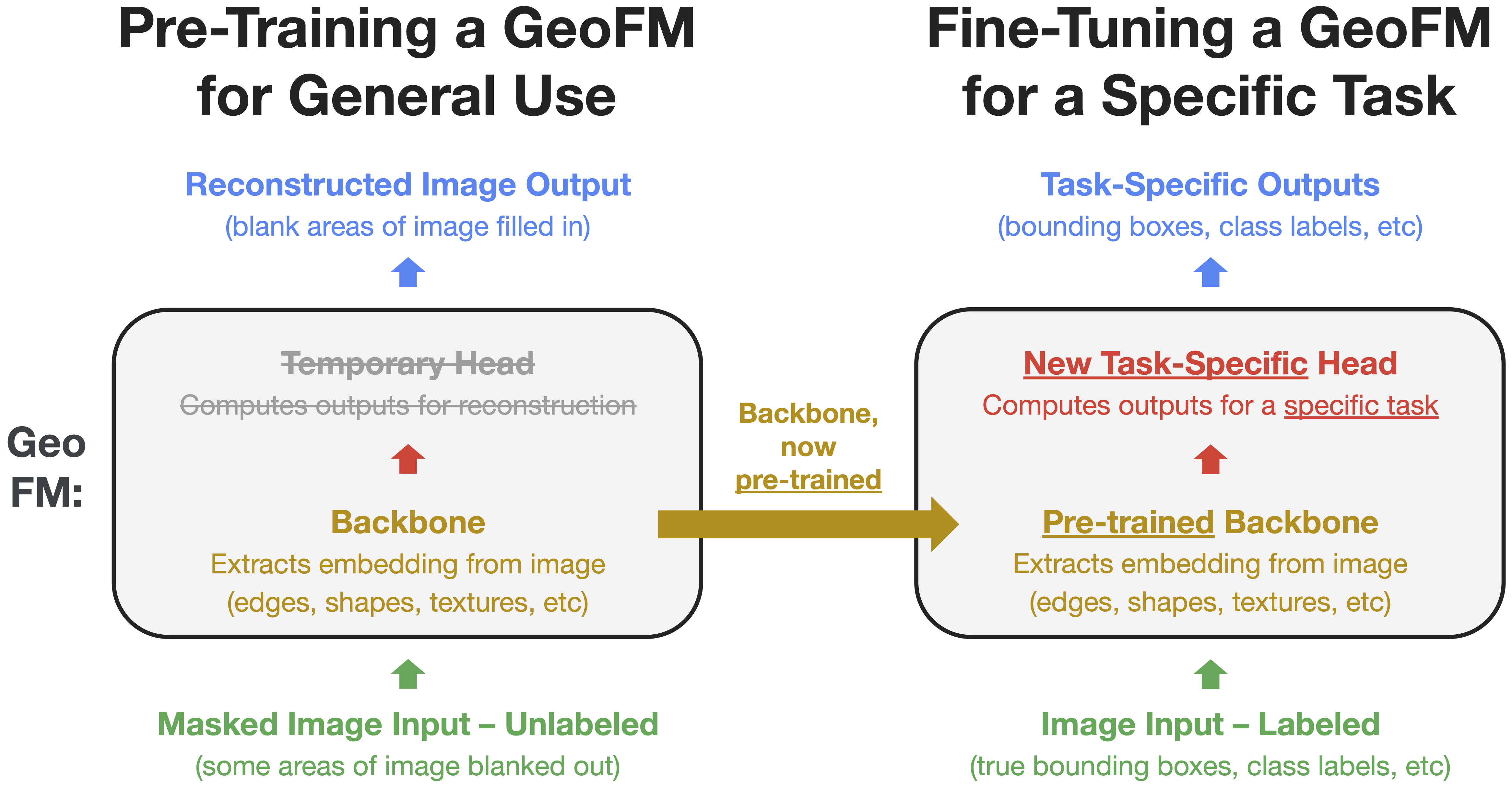 Figure 1: The two-stage life-cycle of a vision geospatial foundation model. (Left:) The self-supervised pre-training phase, where a model backbone learns to extract powerful embeddings by reconstructing masked patches with the help of a temporary head. (Right:) The supervised fine-tuning phase, where the pre-trained backbone is used, its temporary reconstruction head discarded, and a new, task-specific head is trained on a small, labeled dataset.