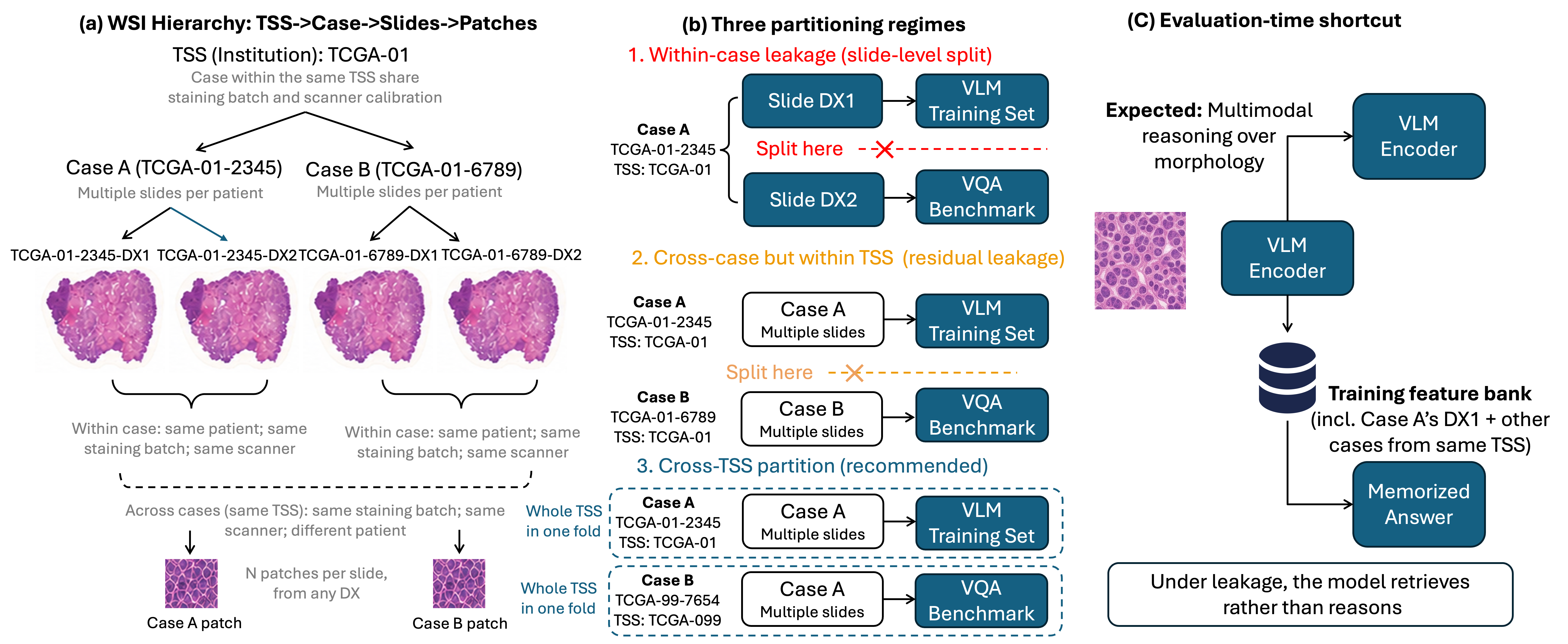 Figure 1: Two-level data leakage in pathology vision-language models. (a) Hierarchical organization of TCGA whole-slide images. (b) Three partitioning regimes considered in this work. (c) The evaluation-time shortcut induced by either form of leakage.