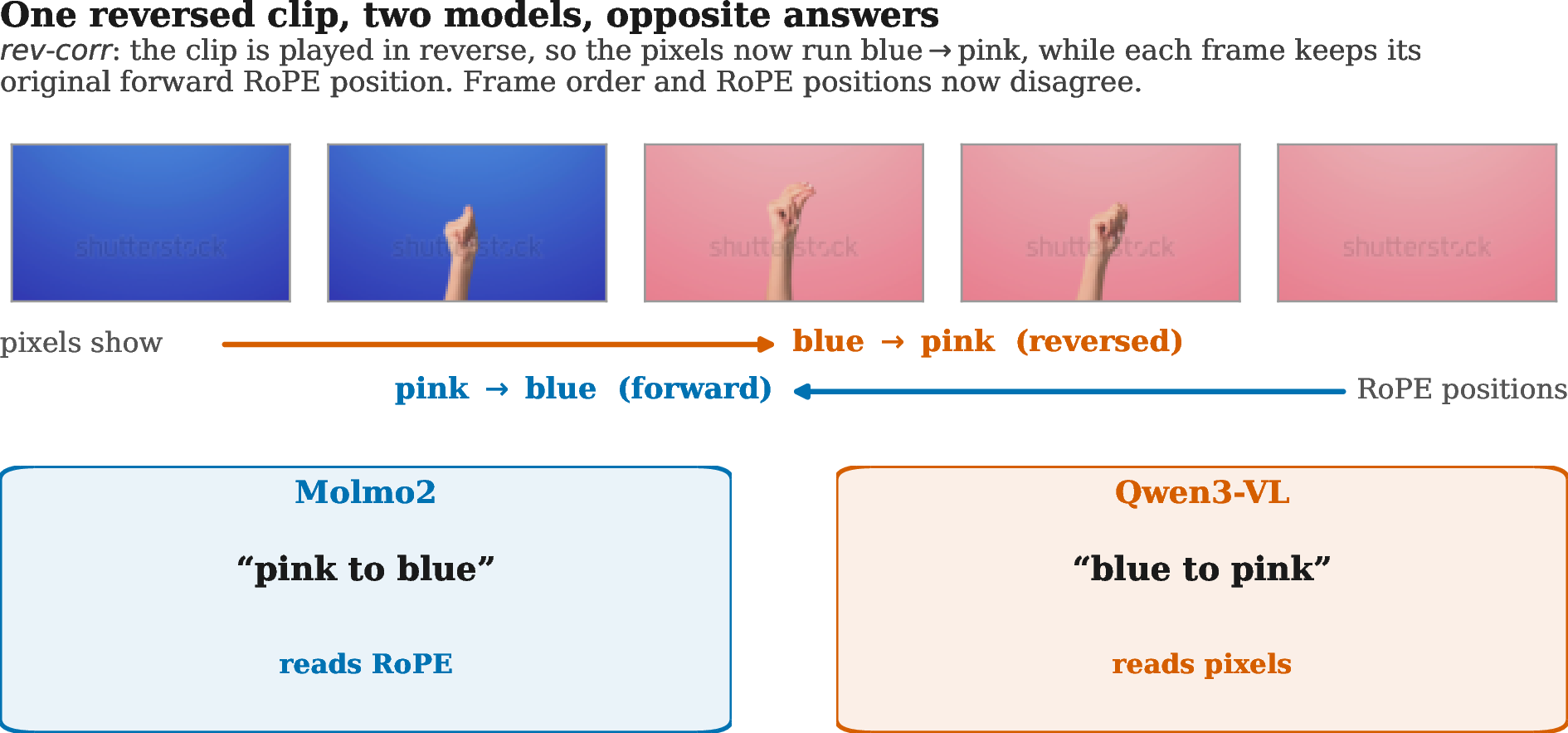 Figure 2: In the rev-corr condition we play a clip’s frames in reverse, here a background changing color so the pixels now run blue to pink, but reset each frame’s RoPE position to its original forward index, so the pixels and the positions disagree. Molmo2 answers “changing from pink to blue,” ie. reading order off the RoPE positions. Qwen3-VL answers “changing from blue to pink,” ie. visual sequence dominant. Molmo2 is position-dominant and Qwen3-VL is comparatively more visual-sequence-dominant. The two models share the benchmark score, so the aggregate number cannot tell them apart (Table 4).