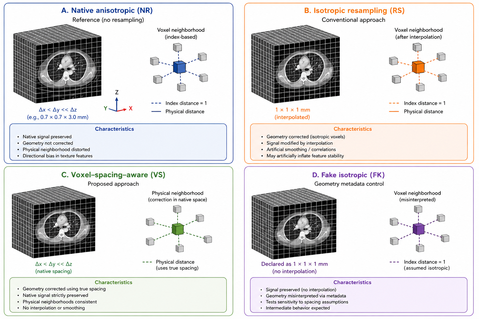 Figure 1: Conceptual overview of the four geometric preprocessing configurations evaluated in this study. Native anisotropic extraction (NR) preserves the original voxel array but treats local neighborhoods in index space, which may distort their physical interpretation. Isotropic resampling (RS) enforces an isotropic voxel grid through interpolation, thereby correcting geometry while modifying the original image signal. Voxel-spacing–aware extraction (VS) preserves the native voxel array while incorporating true physical voxel spacing into neighborhood-based computations, thereby separating geometric correction from interpolation-induced signal modification. Fake isotropic preprocessing (FK) preserves the original voxel array but overwrites spacing metadata, serving as a control to isolate the effect of geometric reinterpretation alone.