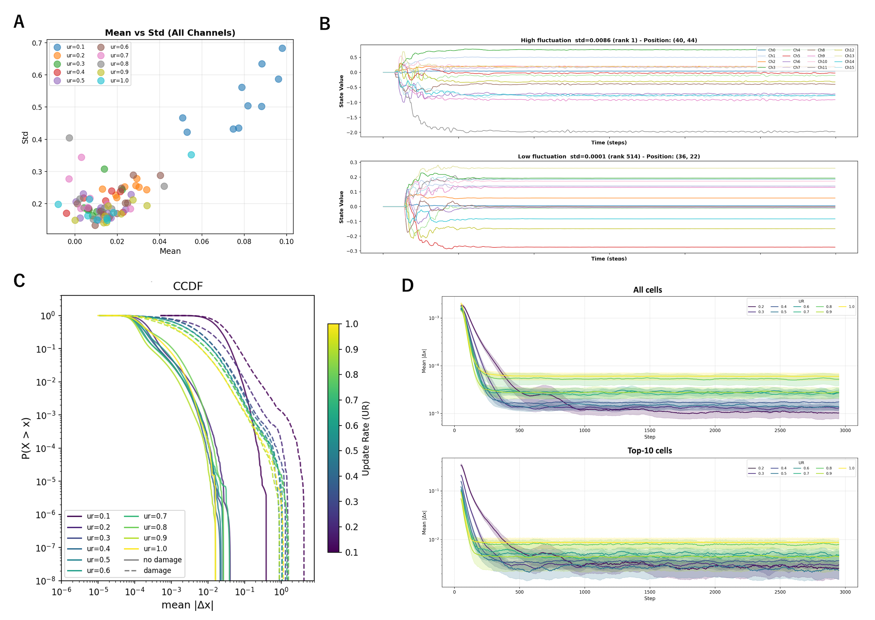 Figure 2: (A) Scatter plot of mean internal state magnitude versus temporal fluctuation (standard deviation) for update rates UR \in[0.1, 1.0]. Each point represents one model (averaged across all 16 channels) at a given update rate. Excluding UR = 0.1 (where training was unstable), data points cluster together regardless of update rate, indicating that fluctuations are an intrinsic property of the learned dynamics rather than a consequence of stochastic updating. (B) Raw internal state time series (all 16 channels) for representative cells at UR = 0.8. Low-fluctuation cells converge rapidly to stable values, while high-fluctuation cells exhibit persistent, structured oscillations across channels, indicative of ongoing dynamical activity rather than noise. (C) Complementary cumulative distribution functions (CCDFs) of per-cell activity under no-damage (solid lines) and post-damage (dashed lines) conditions for update rates UR = 0.1–1.0 (color scale). The log-normal distribution provides a significantly better fit than a power law across all conditions (\DeltaAIC \ll 0). (D) Time series of activity \|\Delta\mathbf{s}\| at UR = 0.8 (smoothed with a 20-step sliding window). Top: mean across all alive cells (\sim 10^{-4}). Bottom: top-10 highest-activity cells (\sim 10^{-2}), revealing two orders of magnitude difference in fluctuation intensity across the cell population.