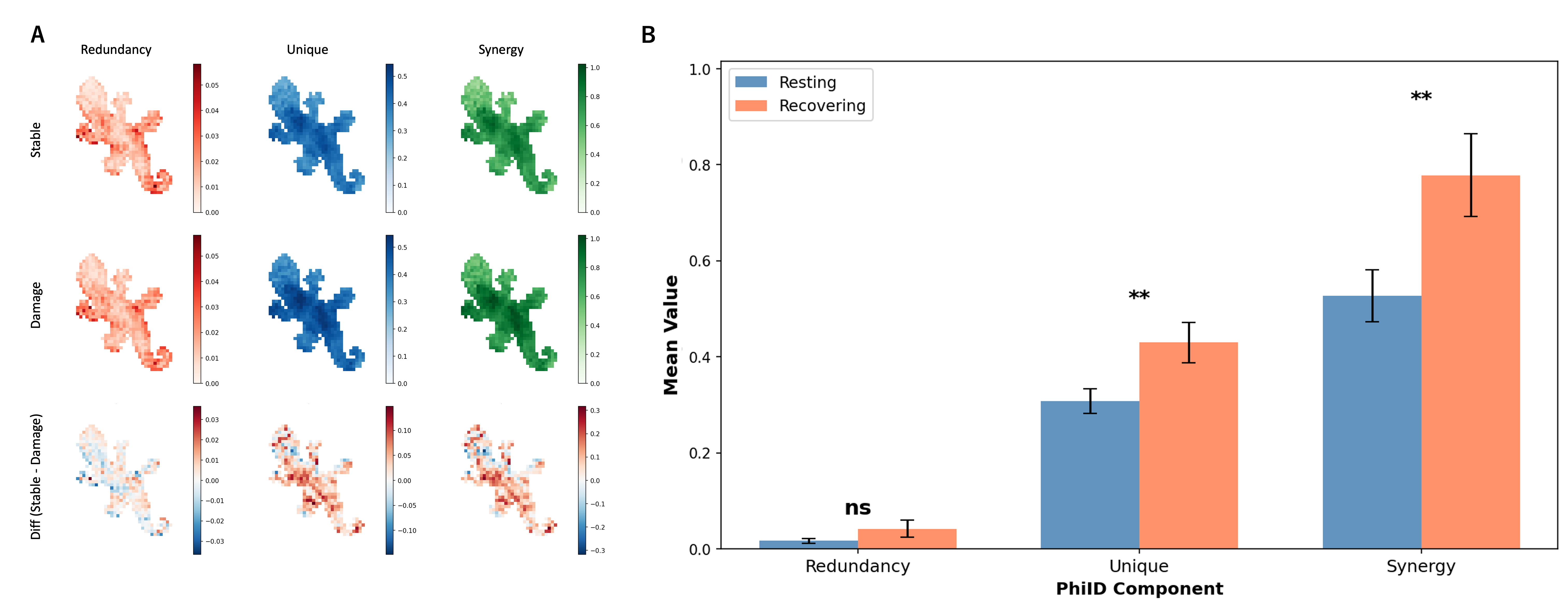 Figure 12: Inter-channel \PhiID across all channel pairs under undamaged and damaged conditions. Synergy (sts) is the dominant component, unique information is substantial, and redundancy (rtr) is negligible—indicating a computational substrate that combines integrative and specialized processing without redundant duplication. Damage increases all components, suggesting intensified inter-channel coupling during repair. Error bars indicate SEM across independently trained models initialized with different random seeds.Values were first averaged over alive cells and channel pairs within each model, and statistical comparisons were performed across models using Wilcoxon signed-rank tests. Asterisks indicate significant resting–recovery differences (^{**}p<0.01).