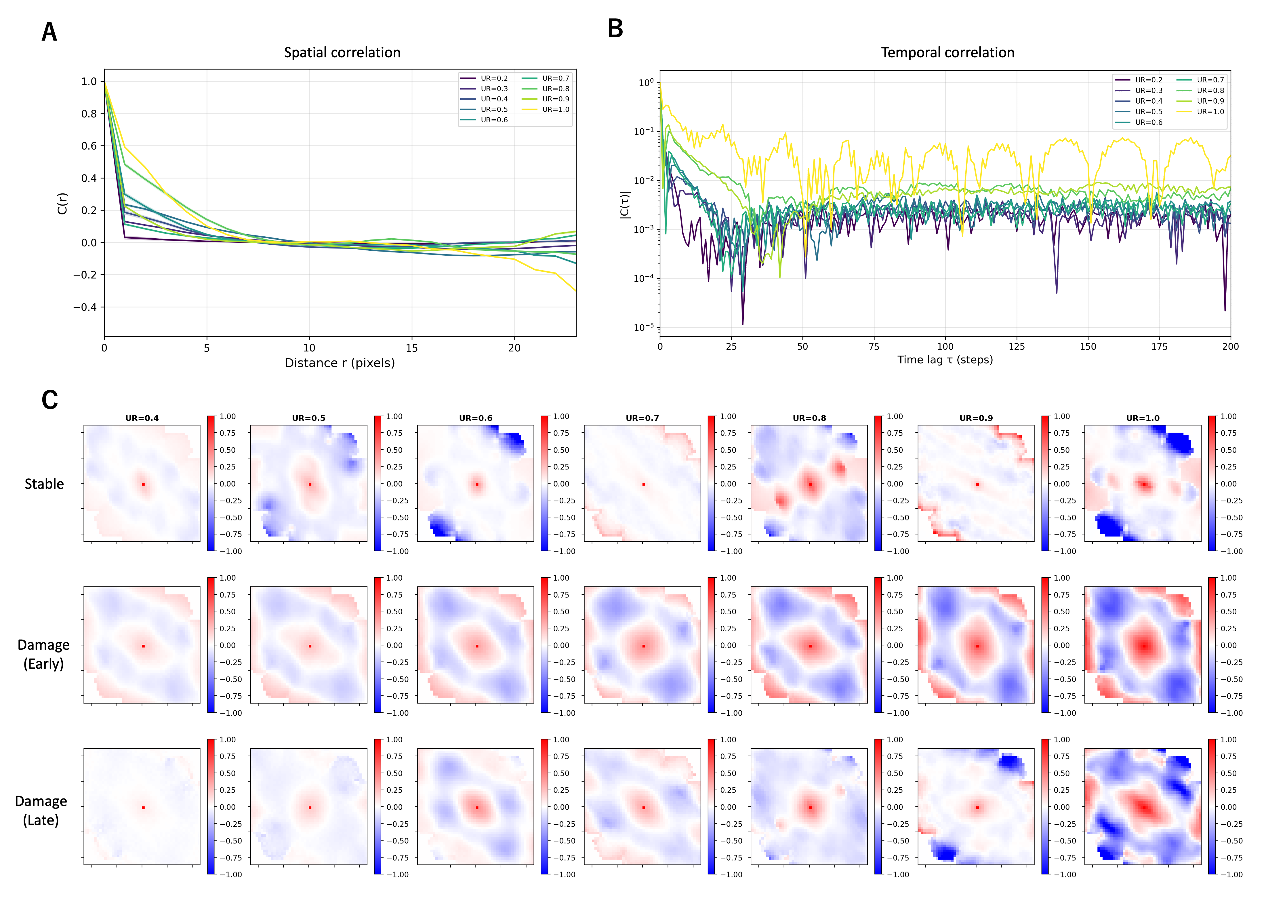 Figure 3: Spatiotemporal correlation structure of internal fluctuations. (A) Radially averaged spatial autocorrelation function C(r). The correlation length increases with UR, indicating that more frequent updates support longer-range spatial coupling. (B) Temporal autocorrelation function ACF(\tau) of per-cell activity \|\Delta\mathbf{s}\|. Higher update rates show stronger temporal persistence, with all conditions settling to non-zero levels by \tau \approx 25. At UR = 1.0, oscillatory autocorrelation suggests a strong periodic component in the absence of stochastic updating. (C) Two-dimensional spatial autocorrelation maps in displacement space (\Delta x, \Delta y), revealing the anisotropy and spatial extent of dynamical coupling across update rates.
