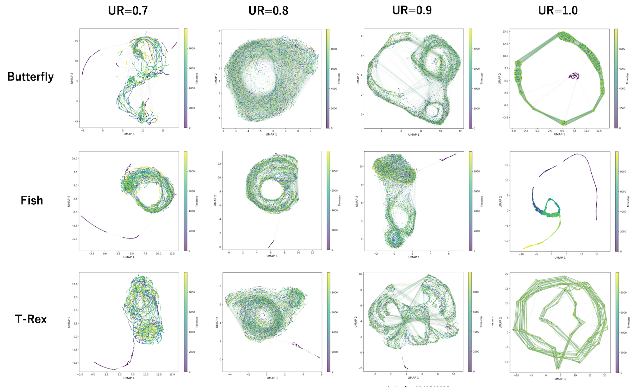 Figure 16: UMAP embeddings of system-level state trajectories for additional target morphologies.Rows show butterfly, fish, and T-Rex target morphologies, and columns show update rates \mathrm{UR}=0.7, 0.8, 0.9, and 1.0.Each panel shows a two-dimensional UMAP projection of the high-dimensional trajectory during undamaged steady-state operation, with color indicating time progression.Across morphologies, higher update rates produced compact and structured trajectories, including loop-like or folded paths at \mathrm{UR}=0.8 and 0.9 and more regular periodic patterns in several \mathrm{UR}=1.0 cases.These results suggest that structured recurrent collective trajectories are observed across multiple target morphologies, although the detailed geometry of the projected trajectories varies with morphology and update rate.