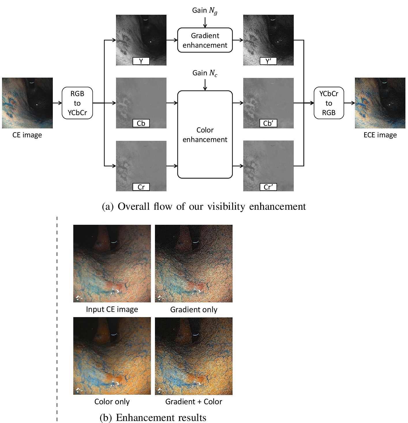 Figure 3: (a) The overall flow of our visibility enhancement method. We apply gradient enhancement to the Y component and color enhancement to the Cb and Cr components. (b) The examples of enhancement results. The gradient gain N_g and the color gain N_c are set to 5.0 and 1.2, respectively.