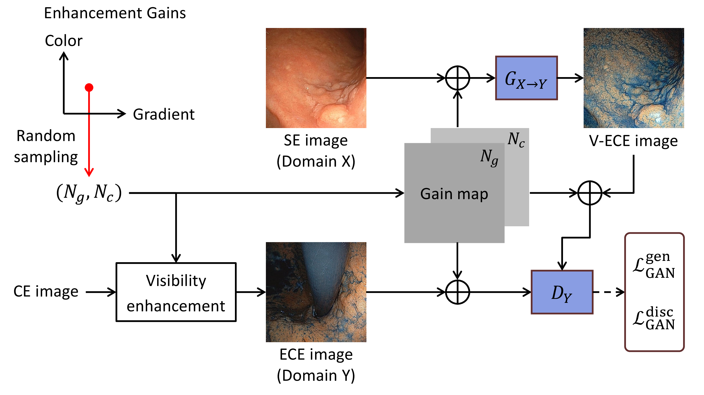 Figure 5: The architecture of our proposed tunable CycleGAN. The gradient and the color gains are randomly sampled from certain ranges and concatenated as the inputs to the generator and the discriminator. The generator tries to generate V-ECE images with the corresponding gains, while the discriminator tries to discriminate them from real ECE images enhanced using the same gains. By this architecture, the discriminator is to identify not only whether the ECE image is real or not, but also whether the enhancement level is correct or not, directing the generator to generate the V-ECE images with the correct enhancement level.