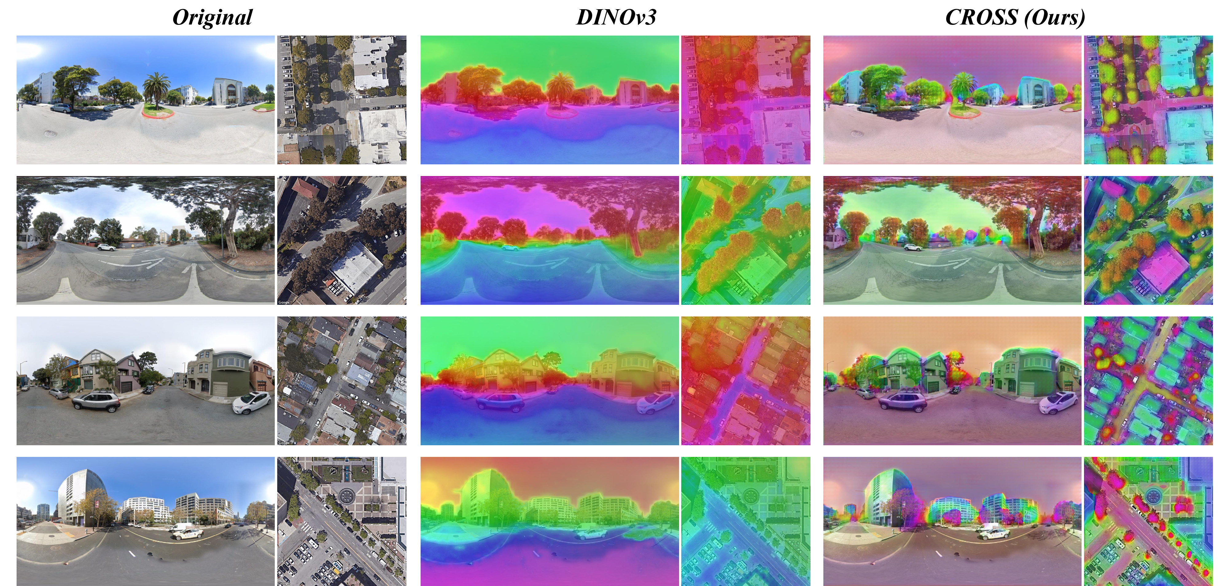 Figure 7: Visualization of semantic features predicted by DINOv3 and CROSS on the VIGOR dataset.