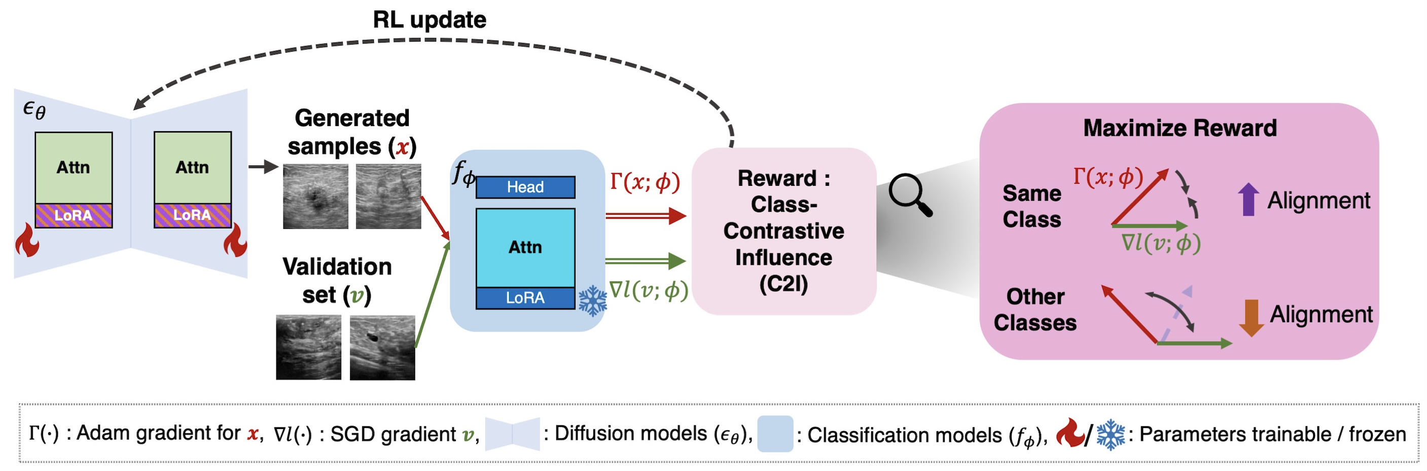 Figure 2: Overview of Class-Contrastive Influence (C2I). Gradients from generated and validation samples are compared, and the C2I reward is computed from their alignment: encouraging positive alignment with same-class validation gradients and negative alignment with opposite-class gradients. This reward, defined jointly by the classifier, generated data, and validation data, guides reinforcement learning fine-tuning of the generator toward decision-boundary-proximal samples.