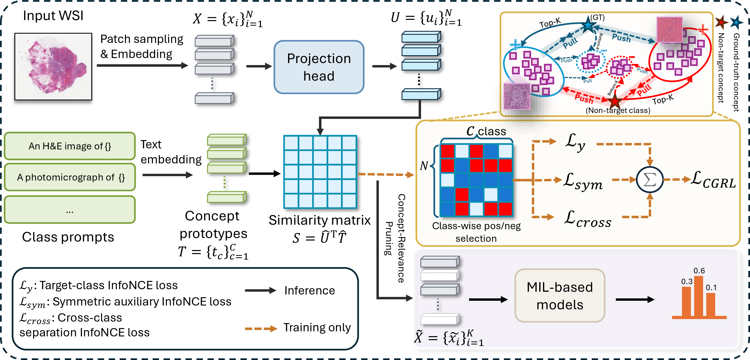 Figure 2: Overview of the proposed Concept-Guided Pruning and Representation Learning (CGRL) framework. Given a WSI, patch embeddings and class-level concept prototypes are used to compute a patch-to-concept similarity matrix. Based on this similarity, CGRL performs concept-relevance pruning for downstream MIL classification and concept-guided representation learning during training. During inference, only concept-relevance pruning and MIL-based slide classification are retained.