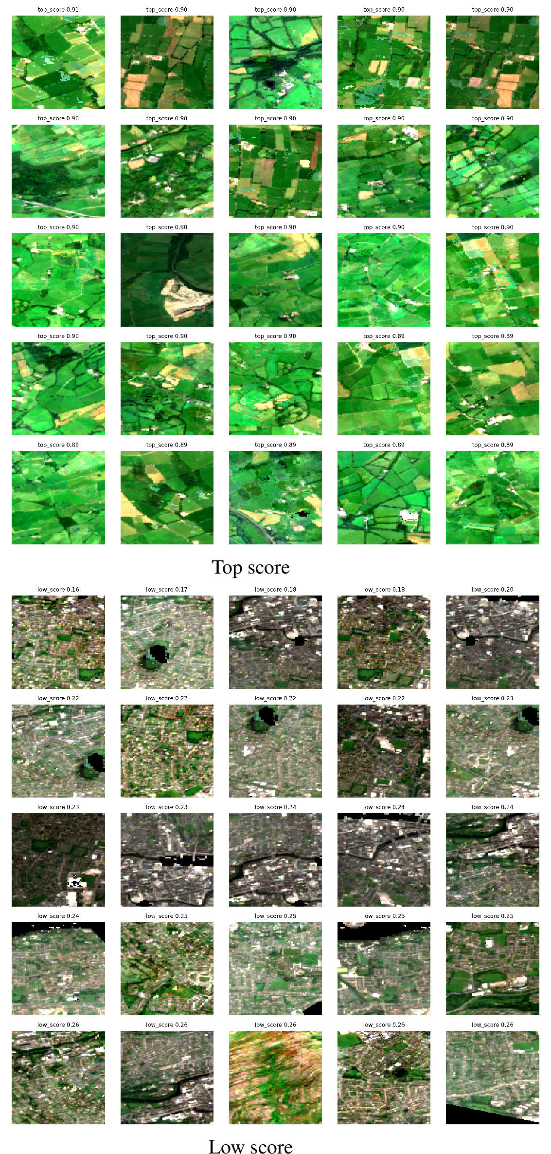 Figure 4: Qualitative examples from top and low score groups. Top score tiles tend to show pasture mosaics and farm-associated visual context, while low score tiles often show dense built areas, water, or other non-farm patterns. These examples support visual interpretation of the ranking signal, but they are not manual validation labels.