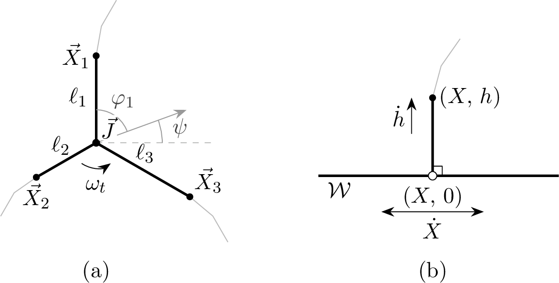 Figure 6: On-manifold endpoint charts: (a) the triple-junction chart 42 , with fixed ray offsets \varphi_k; (b) the wall-contact chart 43 , with a vertical contact edge.