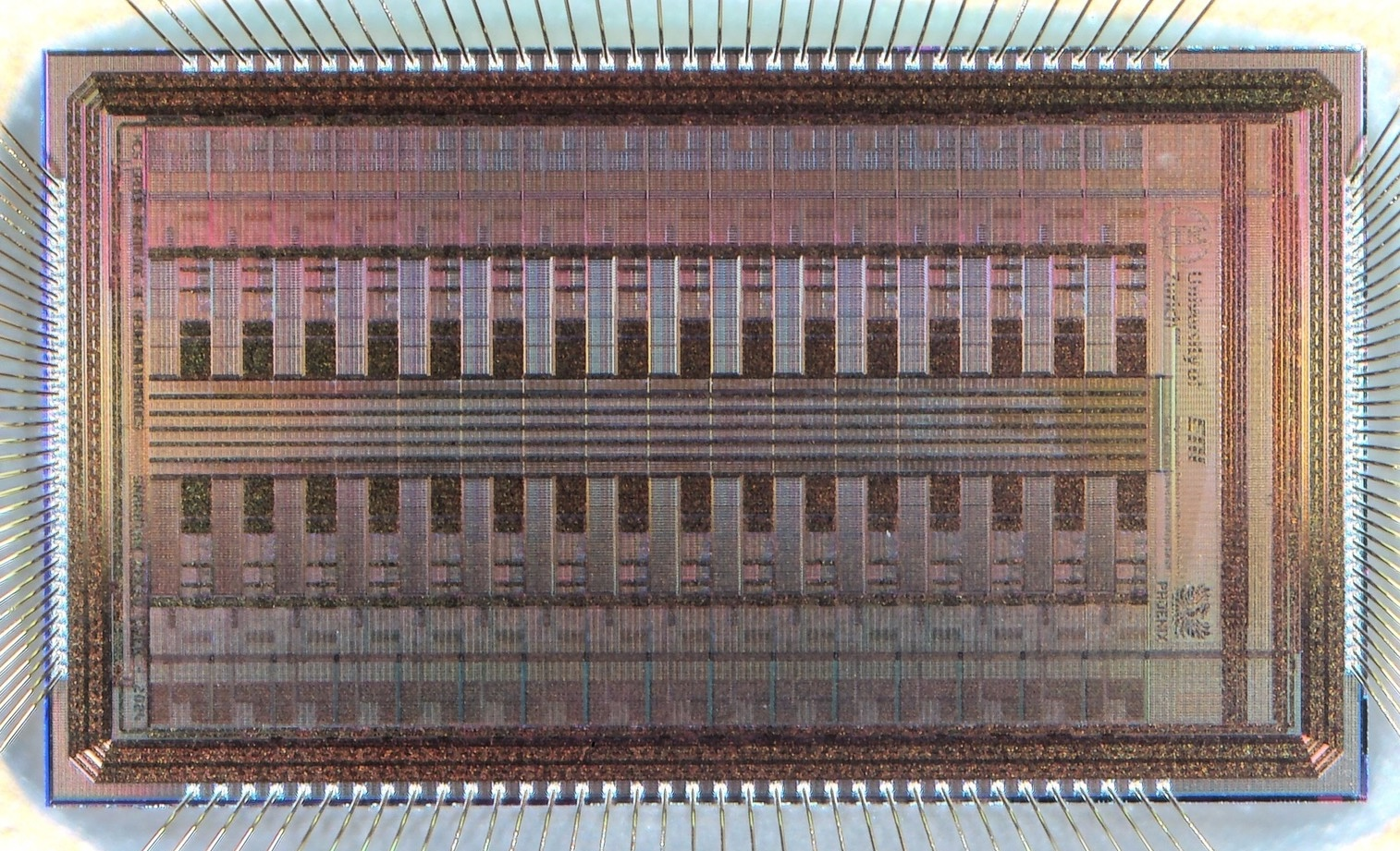 Figure 1: AFE chip micrograph, with 32 mixed-signal analog/digital processing blocks, a synchronous digital SPI input interface, and an asynchronous AER output interface.