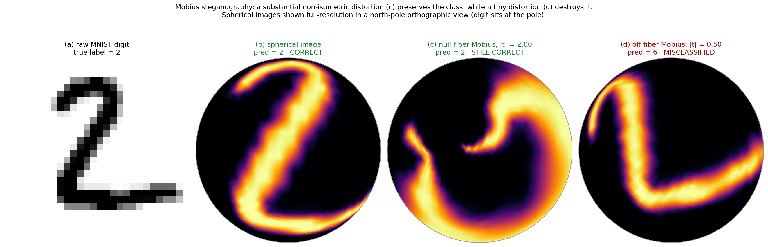 Figure 4: Möbius steganography on spherical MNIST. (a) Raw MNIST digit 2. (b) The same digit painted on the sphere, correctly classified. (c) A null-fiber Möbius boost at |t| = 2 renders the image unrecognizable, but the classifier still predicts 2. (d) An off-fiber boost at |t| = 0.50 produces mild distortion but flips the prediction to 6. Spherical images are shown in north-pole orthographic projection.