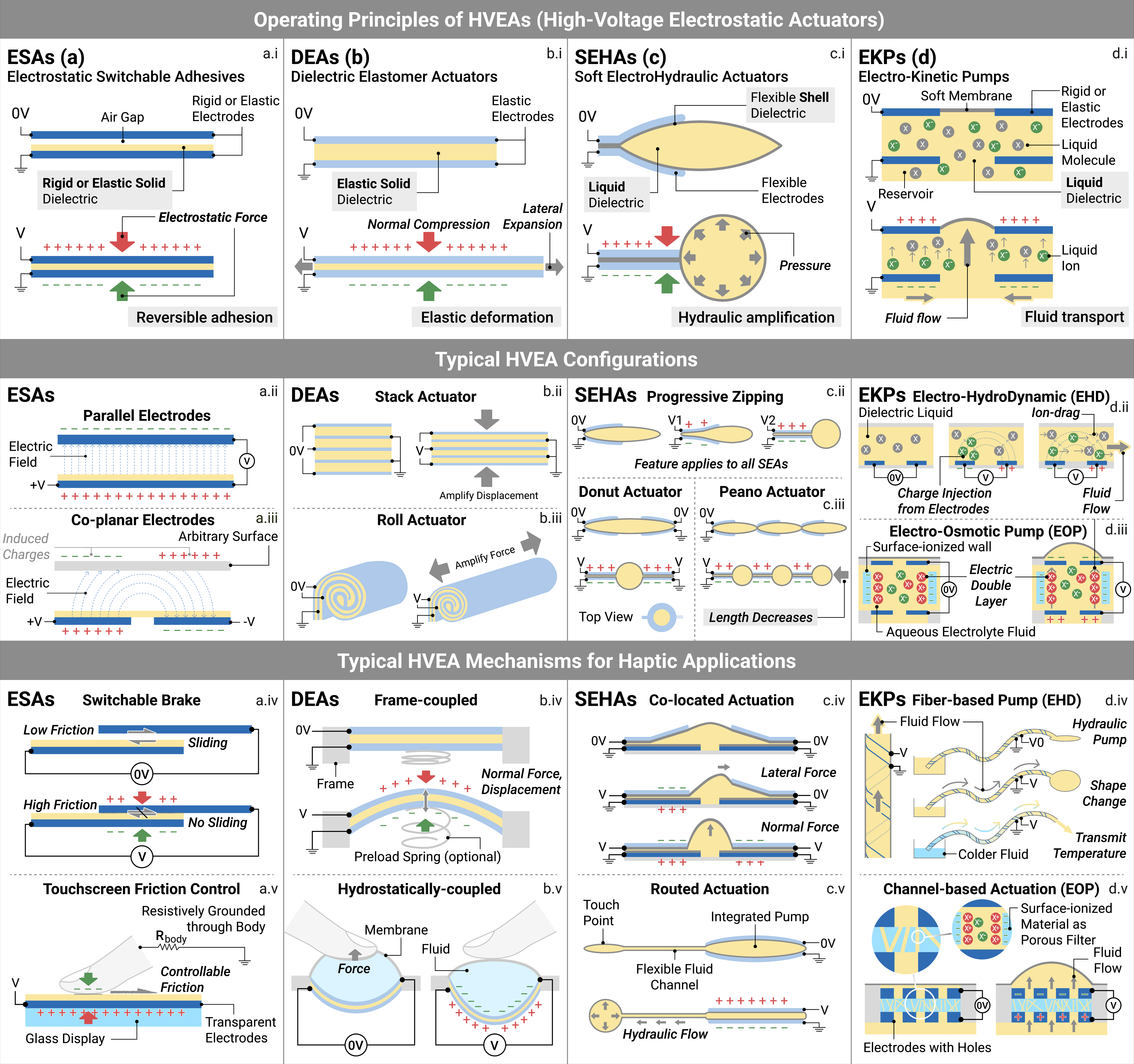 Figure 4: Schematic diagrams of each HVEA type’s (i) operating principles, (ii-iii) typical electrode layouts and configurations, and (iv-v) typical mechanisms for haptics applications. Each HVEA’s geometry and dielectric material significantly affect its haptic output.