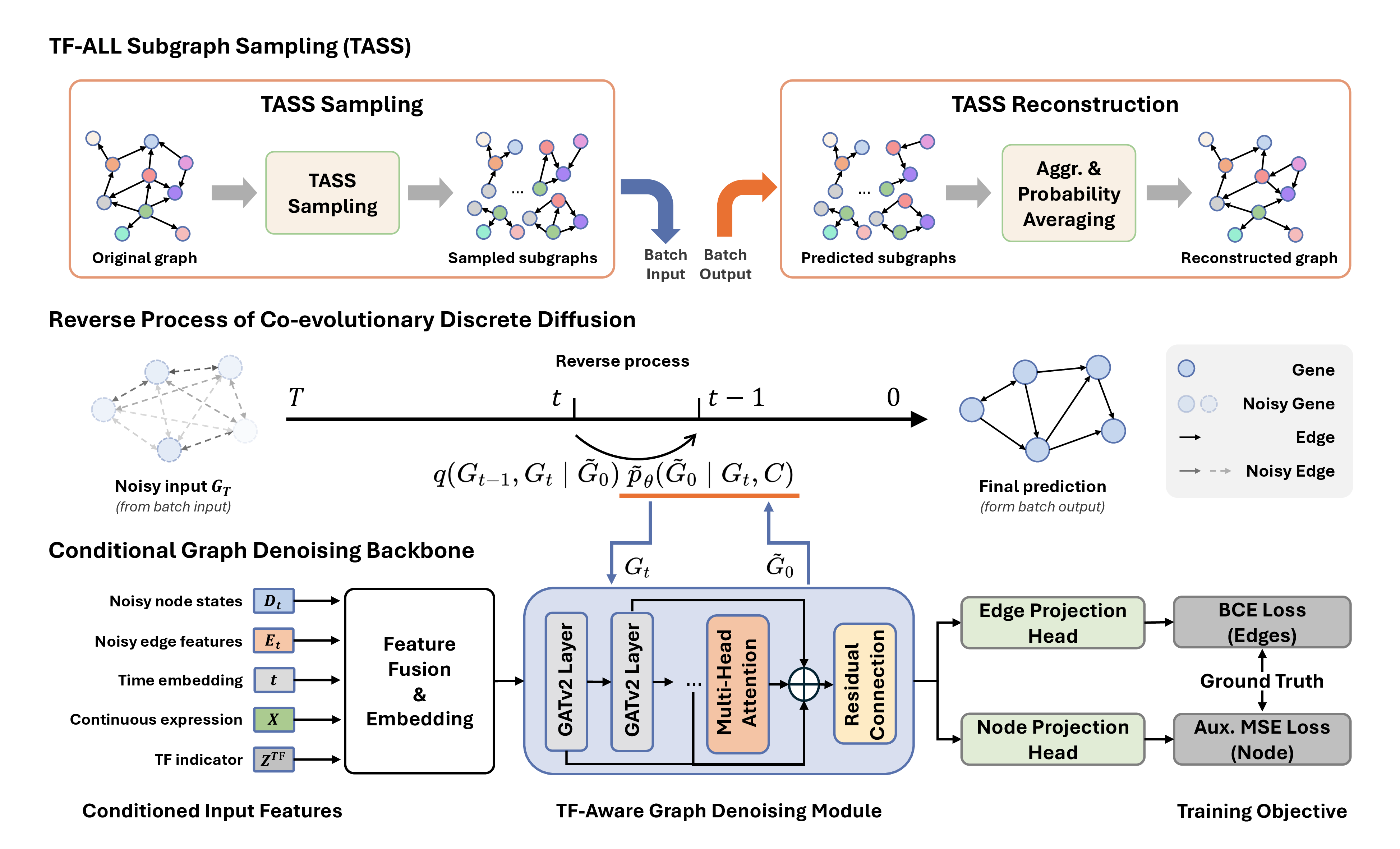 Figure 2: Overview of the CoDiffGRN framework. The framework combines TF-ALL Subgraph Sampling (TASS) with a co-evolutionary discrete diffusion model. TASS enables efficient training of a multi-conditioned TF-Aware Graph Denoising Module. At inference, predictions from multiple subgraphs are aggregated via the reverse diffusion process. Abbr., Aggr.: Aggregation.