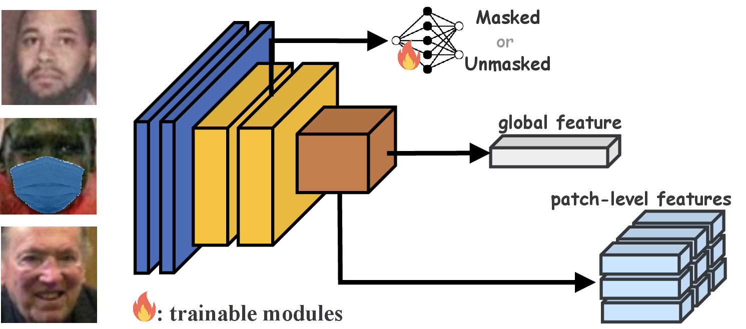 Figure 3: Proposed architecture with an classification head. The pretrained backbone extracts global and patch-level features, while a lightweight head predicts the mask status.