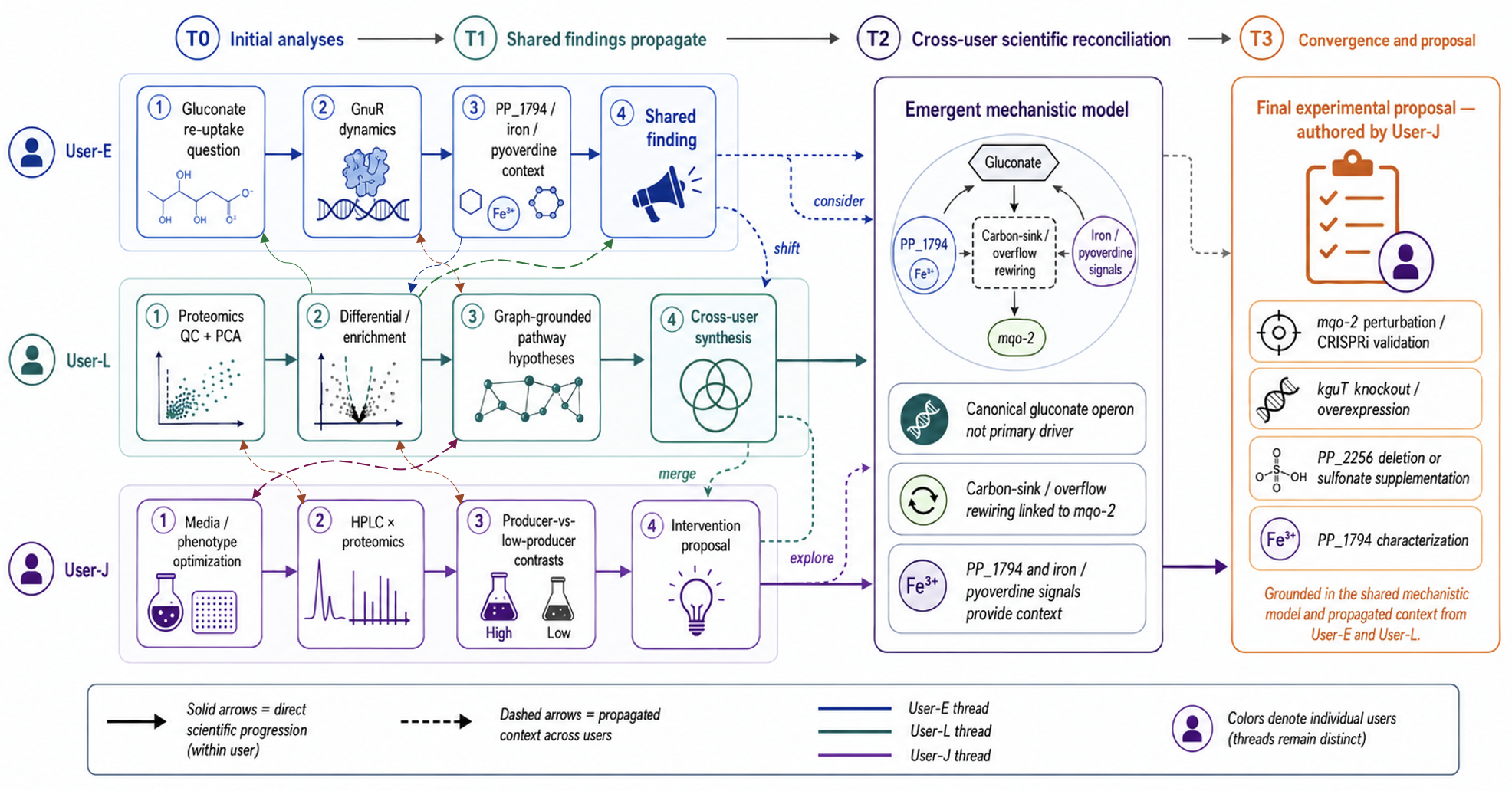 Figure 4: Context routing enables emergent collaborative discovery. The campaign is partitioned into three expert threads (rows): regulatory reasoning (User-E), proteomic/pathway analysis (User-L), and phenotype-guided design (User-J). Solid arrows represent intra-thread reasoning; dashed arrows represent context routed by Mycelium across participants.