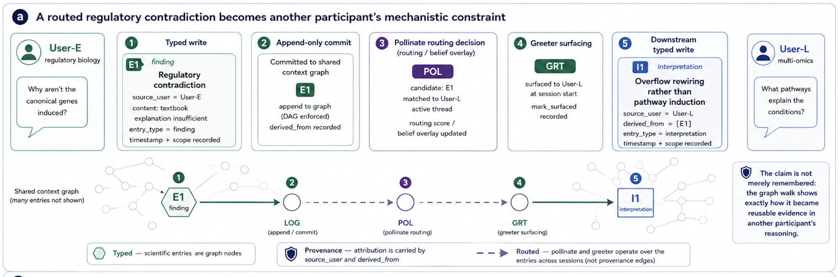 Figure 6: Illustration of cross-context propagation and provenance tracking. This figure shows an trace from the multi-user study reported in the results section. A regulatory contradiction identified by User-E is captured as shared scientific state, automatically routed to User-L, and incorporated as a constraint on the downstream mechanistic model. The numbered sequence shows how Mycelium records, routes, surfaces, and reuses the finding while preserving its attribution and provenance from the original entry, E1, to the resulting interpretation, I1.