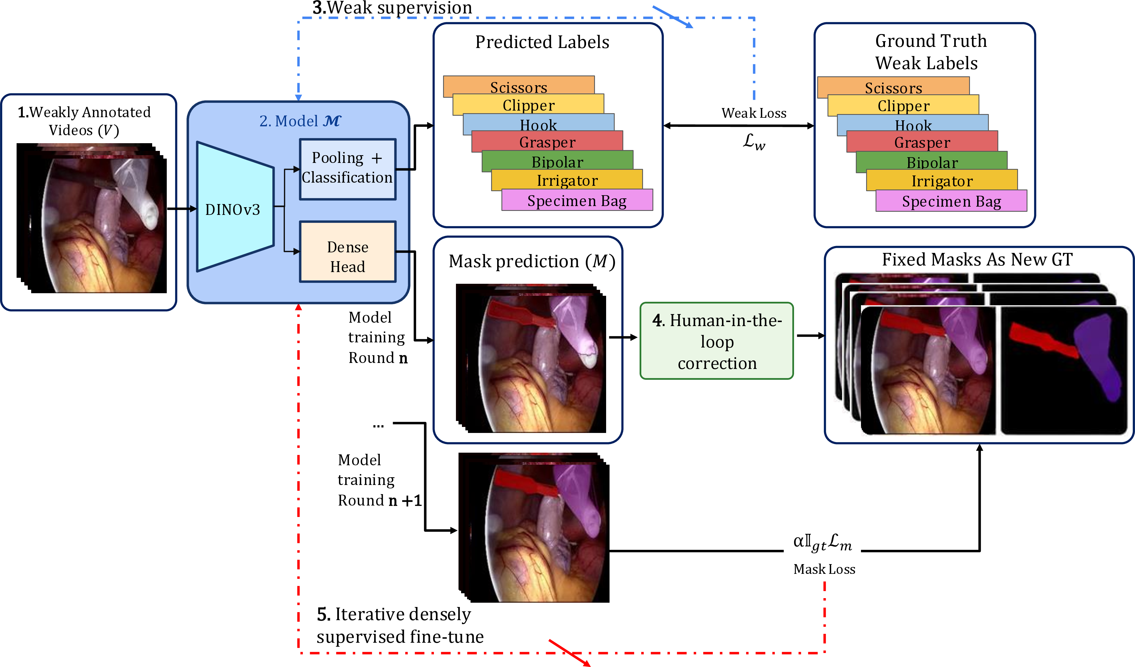 Figure 1: Architecture of the overall pipeline. Videos are sent into Model \mathcal{M}, which predicts masks and weak labels. Predicted masks are sent to an online video annotation platform, where a human annotator will fix the masks of each frame of the video, and a mask loss (fixed vs. predicted) is calculated and added to the weak loss, where fixed masks then become ground truth for the remainder of training.