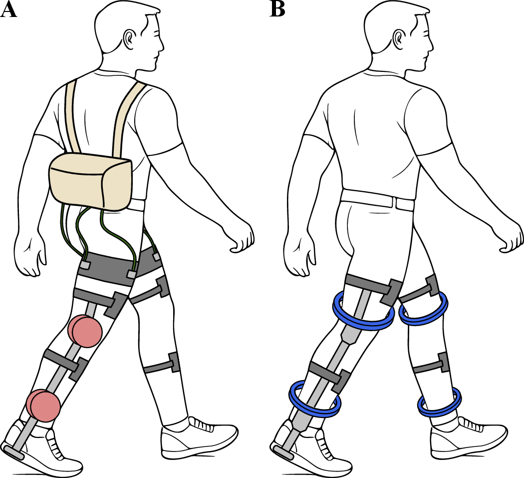 Figure 1: A: A traditional exoskeleton layouts with hip actuators placed remotely in a waist pack (yellow), while knee and ankle actuators (red) are positioned laterally in the sagittal plane. B: Limb-encircling layout, where the actuators (blue) encircle the assisted limb in the plane orthogonal to the limb axis.