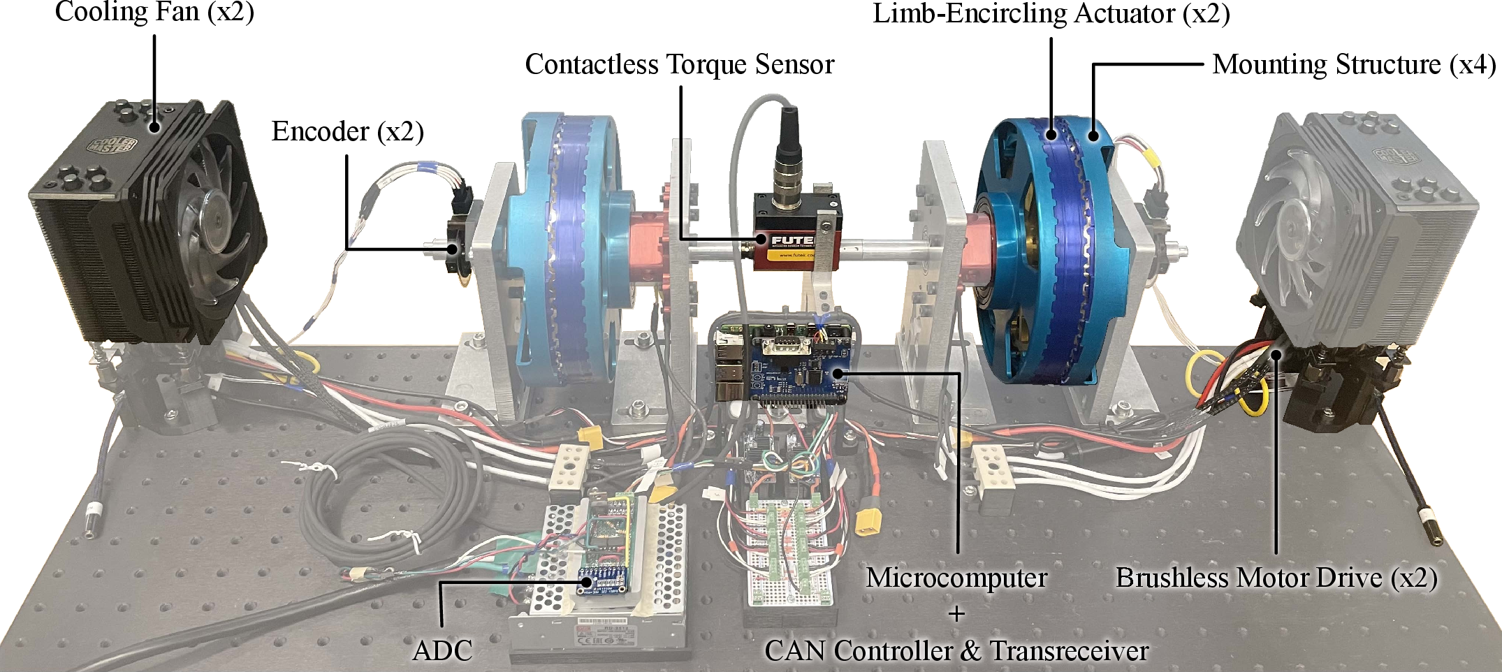 Figure 3: Custom-built testbed developed to characterize the Limb-Encircling Actuator (LEA). The LEAs (blue) are enclosed within structural members (teal) and mounted on shafts connected at their opposite ends through a contactless torque sensor. Brushless motor drives commutate the actuators, with angular position feedback provided by encoders installed at the shaft ends. A single-board computer equipped with a Controller Area Network (CAN) controller and transceiver sends control trajectories to the motor drives, and performs data collection from an ADC connected to the load cell. Cooling fans were added to dissipate heat from the motor drives, although their cooling capacity exceeds the demands of this application.