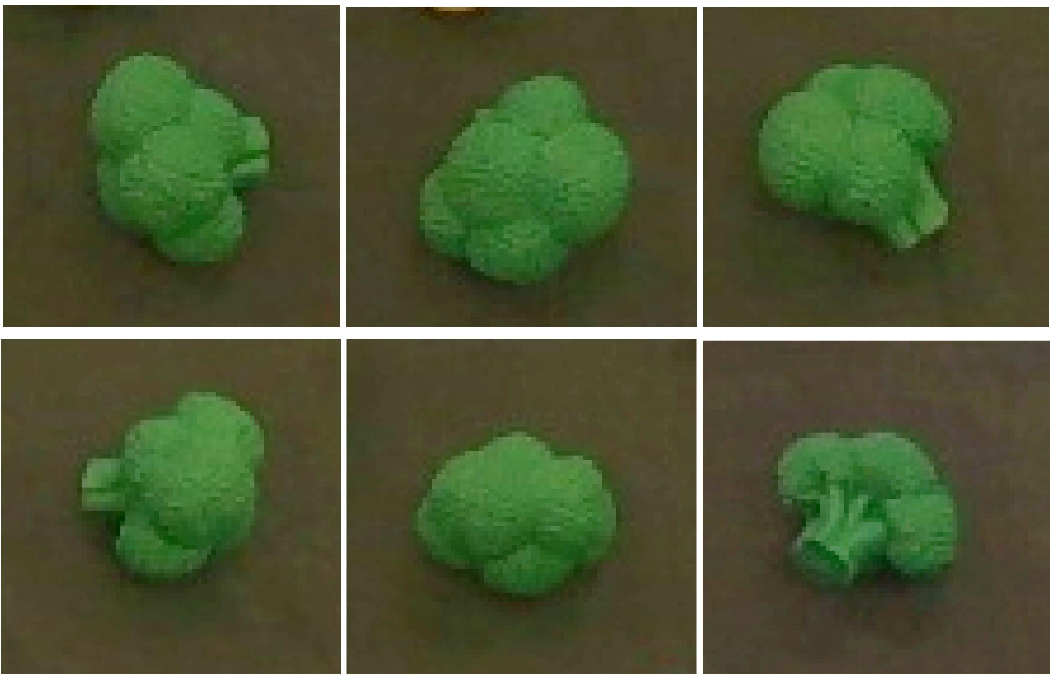 Figure 12: Target-object orientation perturbation (Compositional Object-Layout). The same broccoli, cropped from the front-view camera, shown in six distinct orientations used across evaluation rollouts of the "Pick up the green broccoli and place it on the plate task". We perturb the orientation of the object itself, not just its position, so its silhouette and visible structure change substantially while its identity and the language instruction remain fixed. This prevents the policy from relying on a canonical, memorized view of the target and, combined with the position and distractor swaps in 13, makes the task considerably harder than the position-only swap of LIBERO-PRO.