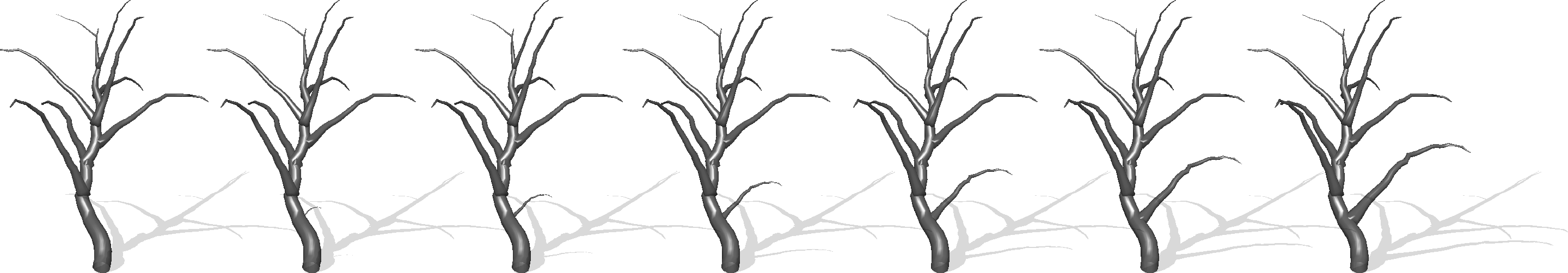 Figure 9: An example of geodesic between two 3D trees where the source (left tree) is generated by pruning the lower branch on the right side of the target (right tree). We can see that, using our method, the pruned branch naturally grows along the geodesic path.