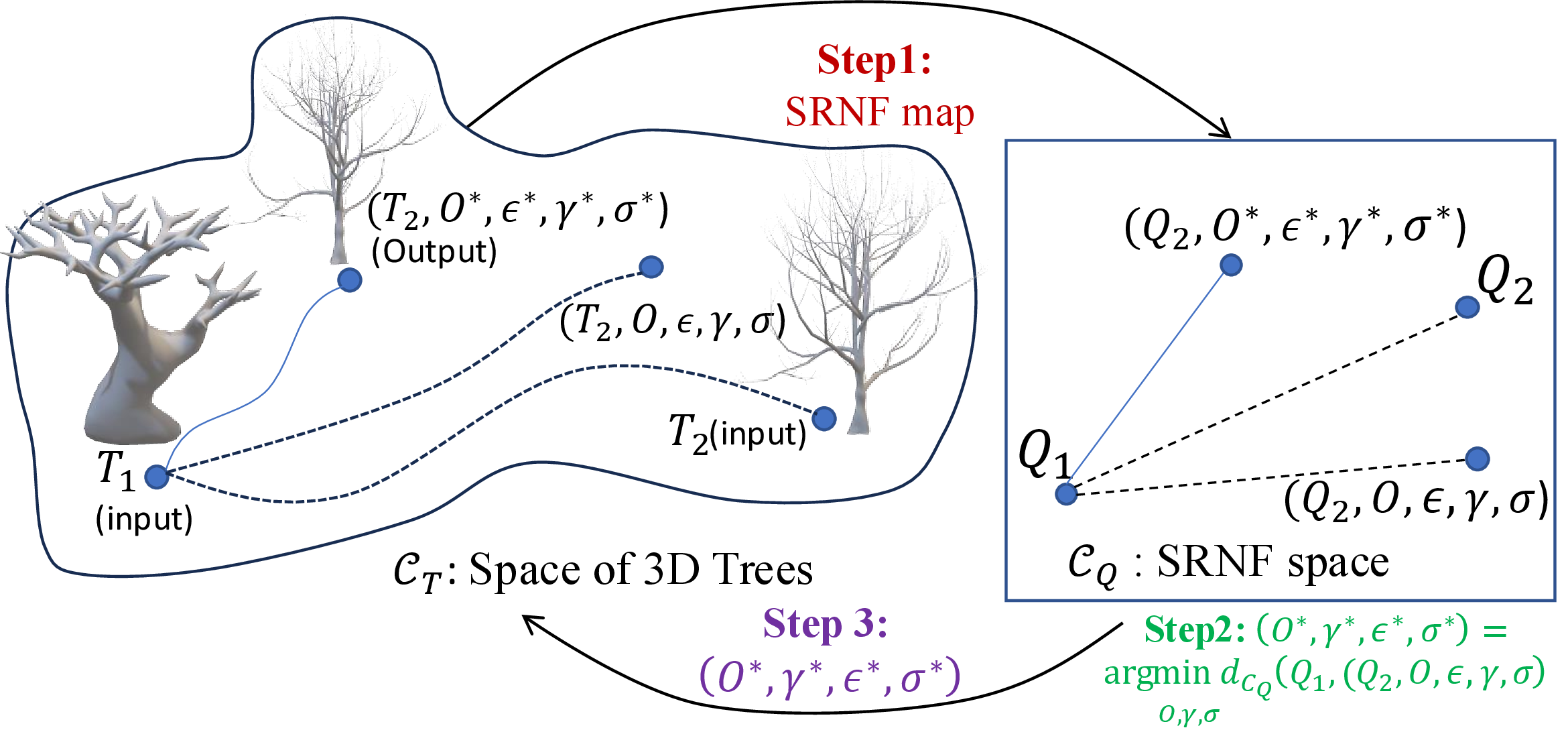 Figure 2: Overview of the proposed registration framework. We first map all trees into the SRNF space \mathcal{C}_Q. We then solve 3 to get optimal transformations (O^*,\epsilon^*,\gamma^*,\sigma^*). Finally, we apply these transformations to T_2 to align it to T_1.