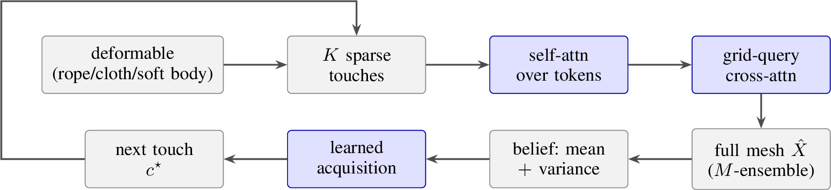 Figure 1: One topology-agnostic estimator reconstructs a 1D, 2D, or 3D deformable mesh from sparse touches via grid-query cross-attention. A deep ensemble gives a per-vertex belief and a learned acquisition picks the next touch (blue: learned).