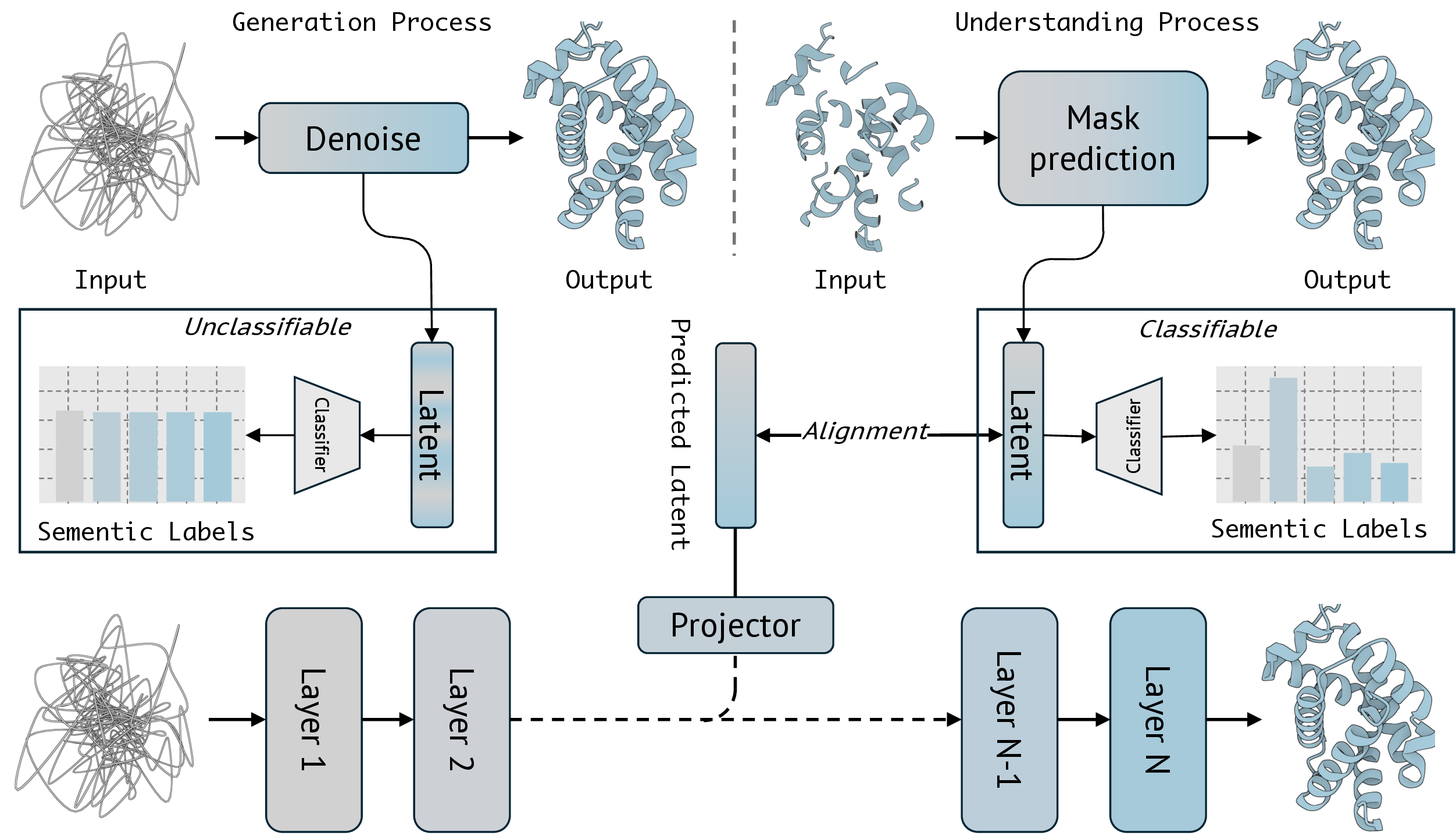 Figure 1: Diagram of ReaPro-1c. The Generation Process (left) employs a denoising diffusion model that maps noisy inputs to protein structures, yielding unclassifiable latent features with ambiguous semantic labels; the Understanding Process (right) utilizes a mask prediction model that reconstructs masked regions, producing classifiable latent representations with distinct semantic categories. To bridge this gap, we introduce a Projector within the intermediate layers of the generative model, aligning the denoising latents with the semantically rich understanding space.