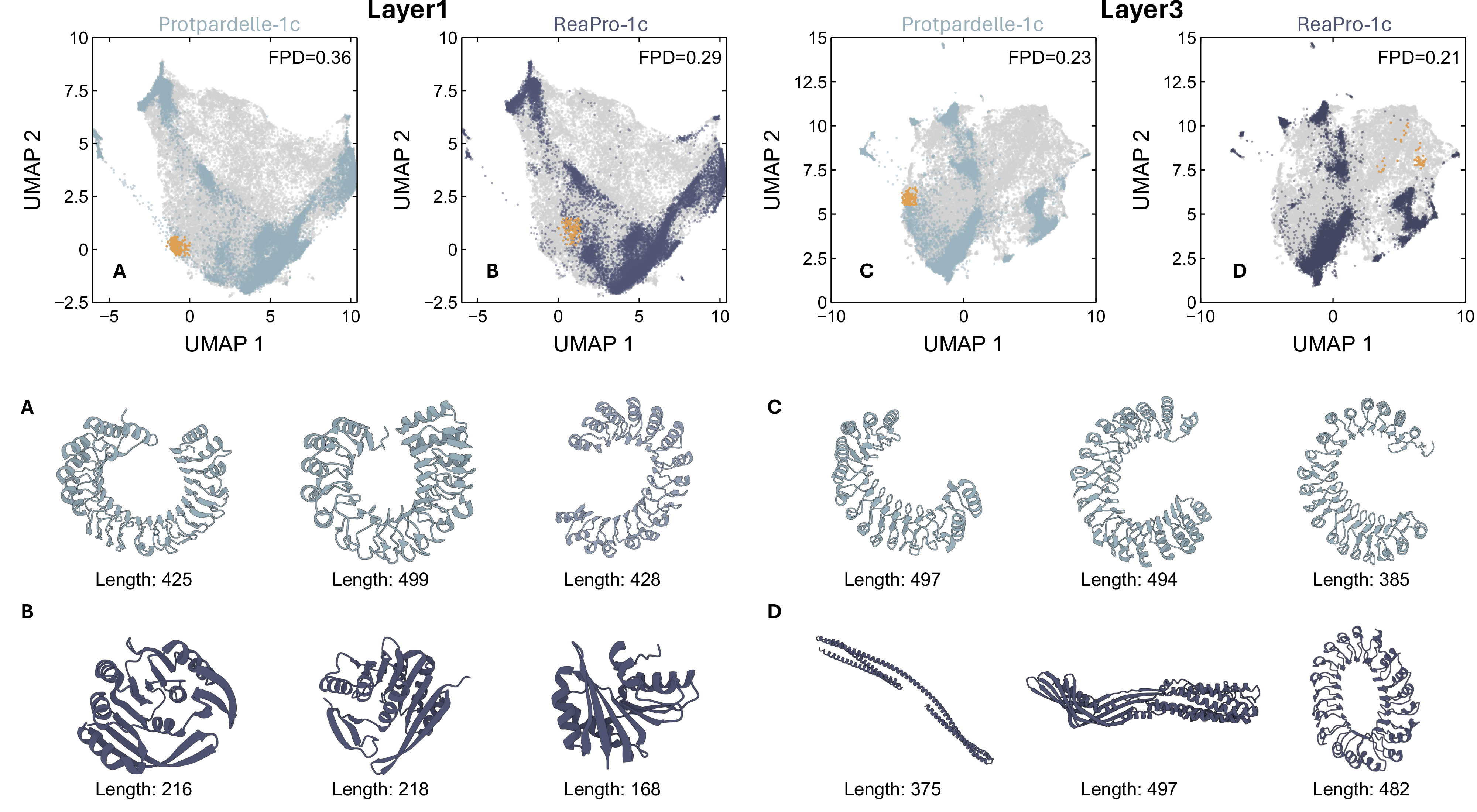 Figure 3: Distribution coverage comparison between Protpardelle-1c and ReaPro-1c. UMAP visualization of ProteinMPNN embeddings at Layer 1 and Layer 3. Gray points represent CATH 4.4-S40 reference structures; blue points represent generated samples. Orange points highlight regions where one model shows higher sampling density than the other. FPD scores indicate that ReaPro-1c achieves better alignment with the reference distribution at both layers. (A) Visualization of structures where Protpardelle-1c shows higher sampling density than ReaPro-1c; (B) Visualization structures where Protpardelle-1c shows higher sampling density than ReaPro-1c. (C, D) Additional examples from Layer 3 analysis.