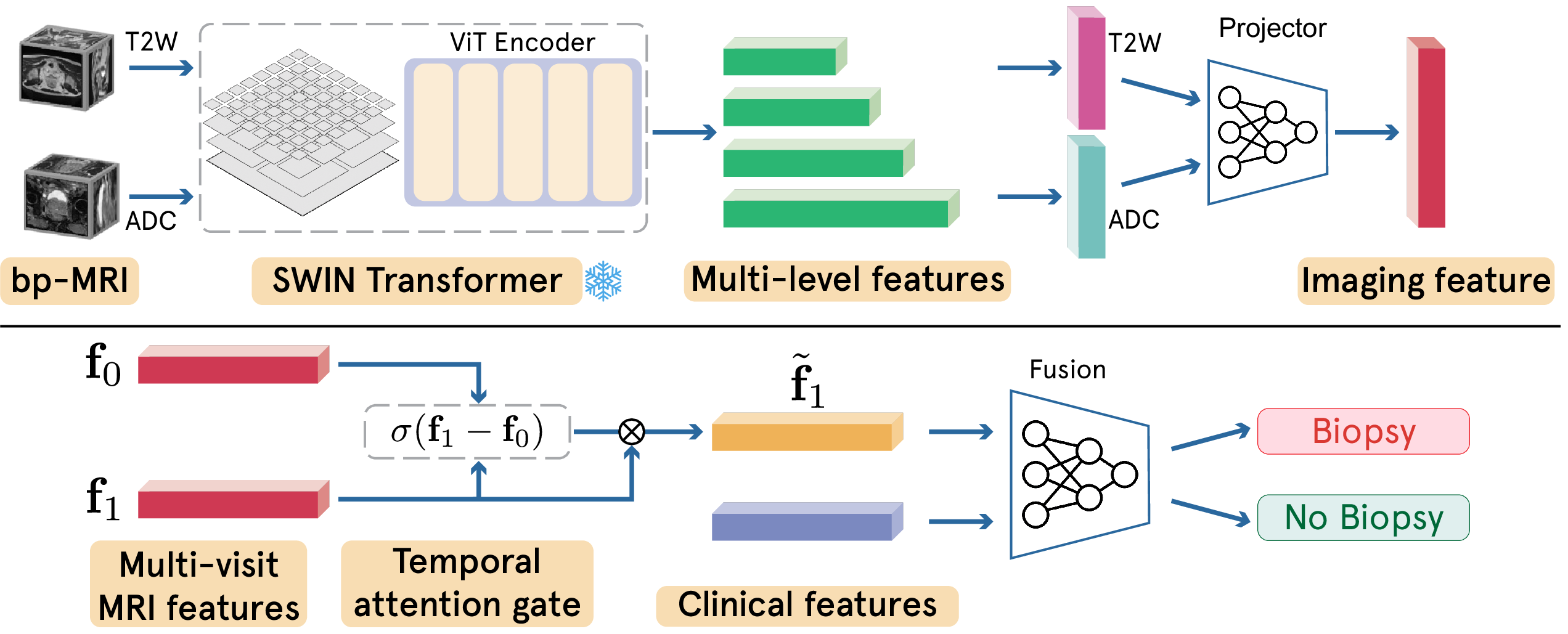 Figure 2: Overview of the proposed framework. Top: For each visit, the T2W and ADC volumes are encoded by a frozen Swin Transformer, producing image features that are pooled and projected into a single imaging feature. Bottom: The imaging features of the first (\mathbf{f}_0) and current (\mathbf{f}_1) visits are passed to the temporal attention gate, which recalibrates the current-visit feature into \tilde{\mathbf{f}}_1 to emphasize progression-relevant change. This temporal representation is fused with clinical features to predict pathological progression (biopsy vs.no biopsy).