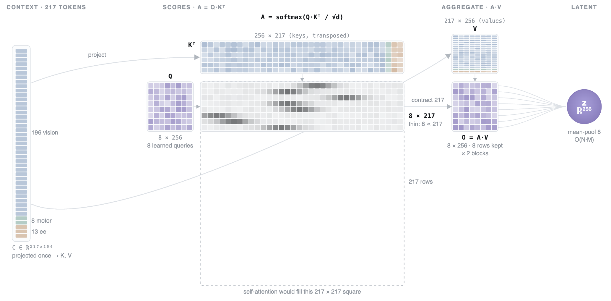 Figure 1: The cross-attention bottleneck at matrix level, with the sizes of the reported instantiation. The context C \in \mathbb{R}^{217\times256} (196 vision, 8 motor, 13 ee tokens) is projected once to keys and values; the M=8 learned queries score it as A = \mathrm{softmax}(QK^\top/\sqrt{d}), an 8\times217 matrix rather than the 217\times217 square that self-attention would fill (dashed outline), and the output O = AV keeps 8 rows per block before the mean-pool to z \in \mathbb{R}^{256}. Cost therefore grows as O(NM) with M \ll N.